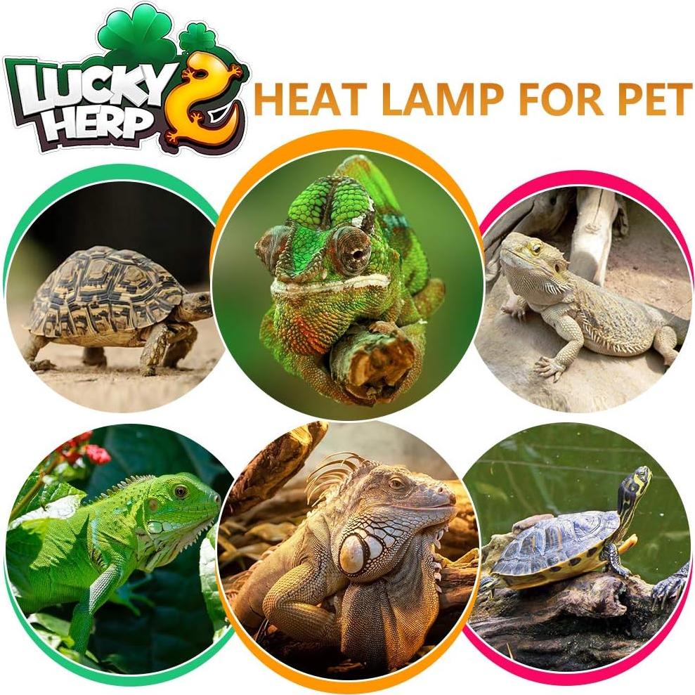 Lámpara de Calor UVB 100W LUCKY HERP para Reptiles y Anfibios