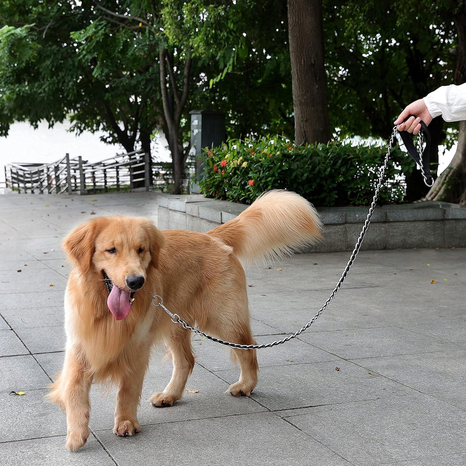 Correa de Perro de Cadena Antimordeduras S-ETOVUS 1.58m Negra