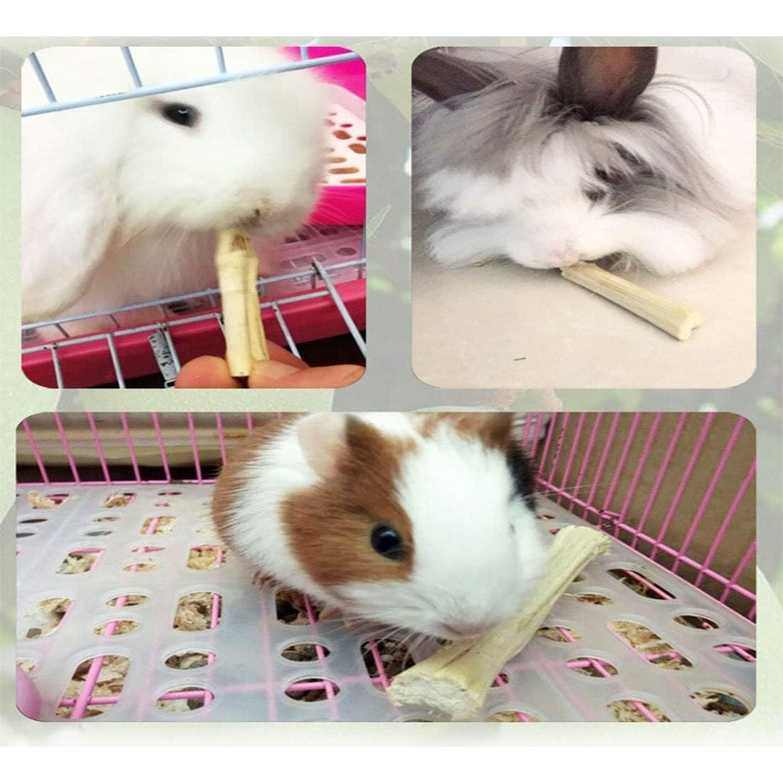 Snacks Masticables de Bambú Tfwadmx para Roedores 200 g