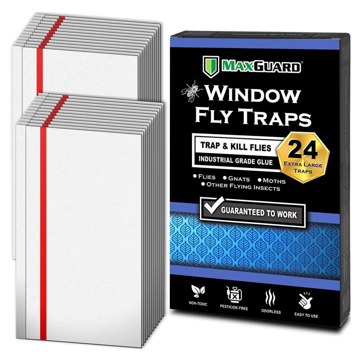 Trampas para Moscas de Ventana MaxGuard - 24 Trampas XL No Tóxicas