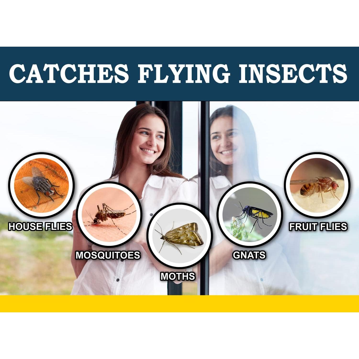 Trampas para Moscas de Ventana MaxGuard - 24 Trampas XL No Tóxicas