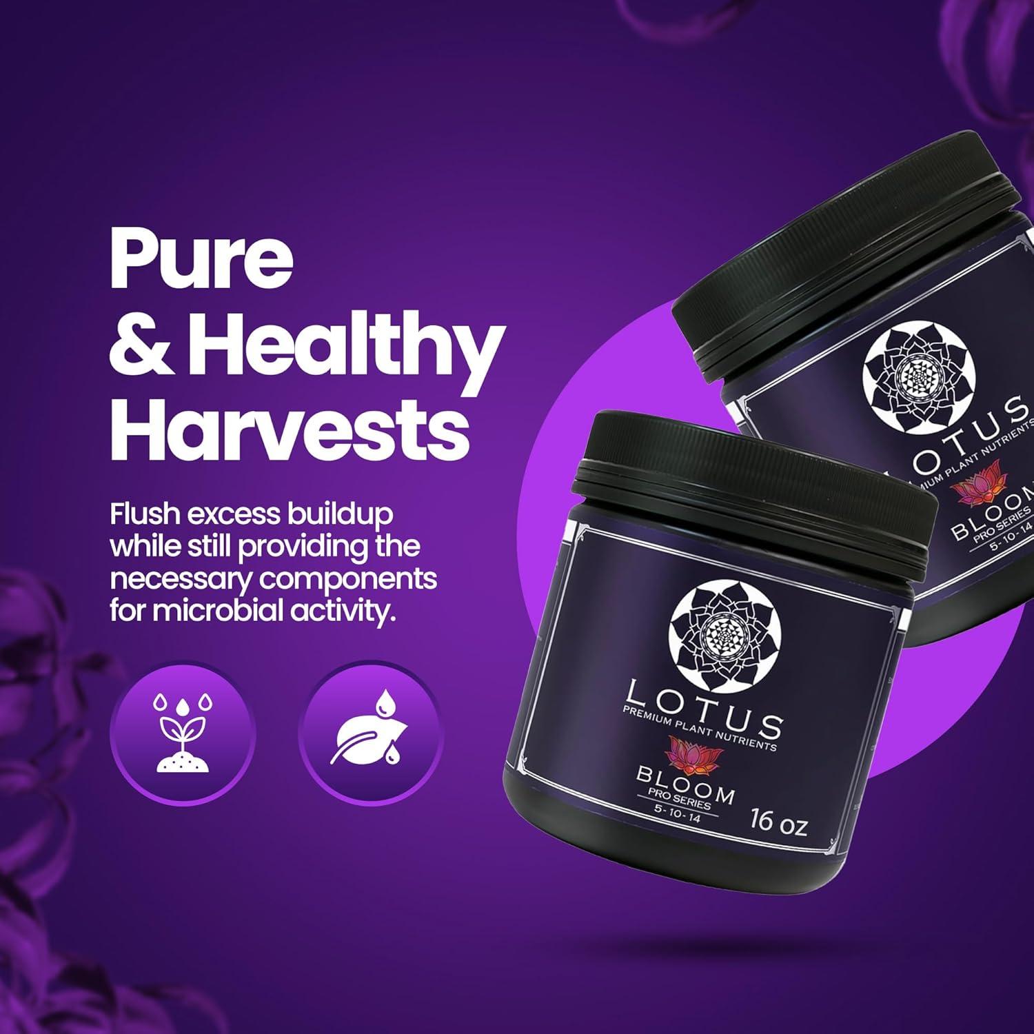 Nutrientes Hidropónicos Lotus Pro Bloom 453.6g - Fertilizante para Plantas