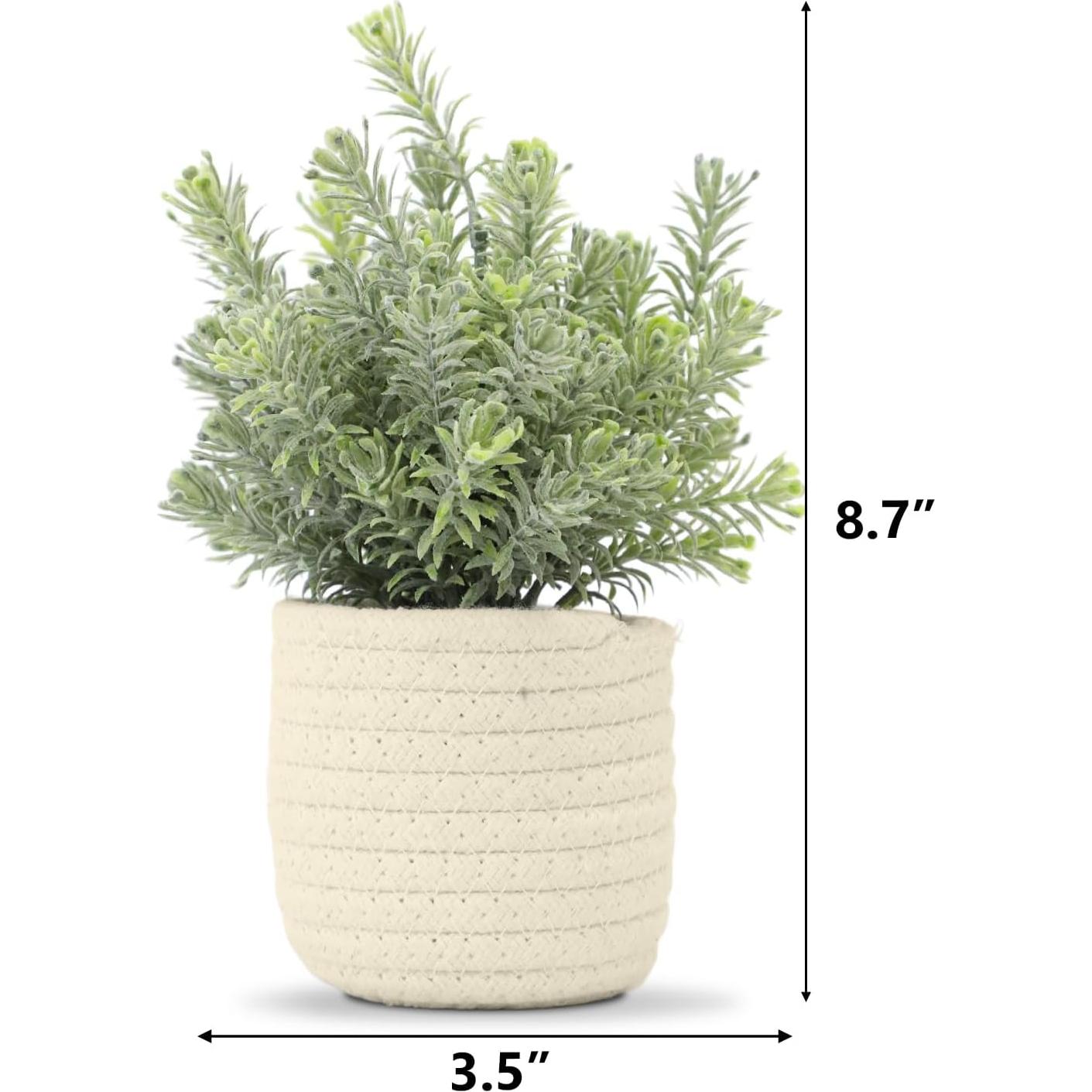 Planta Artificial Eucalipto Hopewood en Canasta Trenzada 22.86 cm