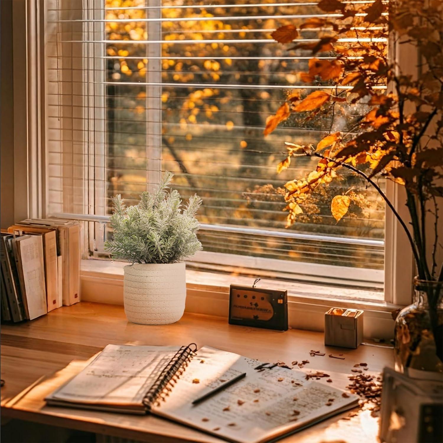 Planta Artificial Eucalipto Hopewood en Canasta Trenzada 22.86 cm