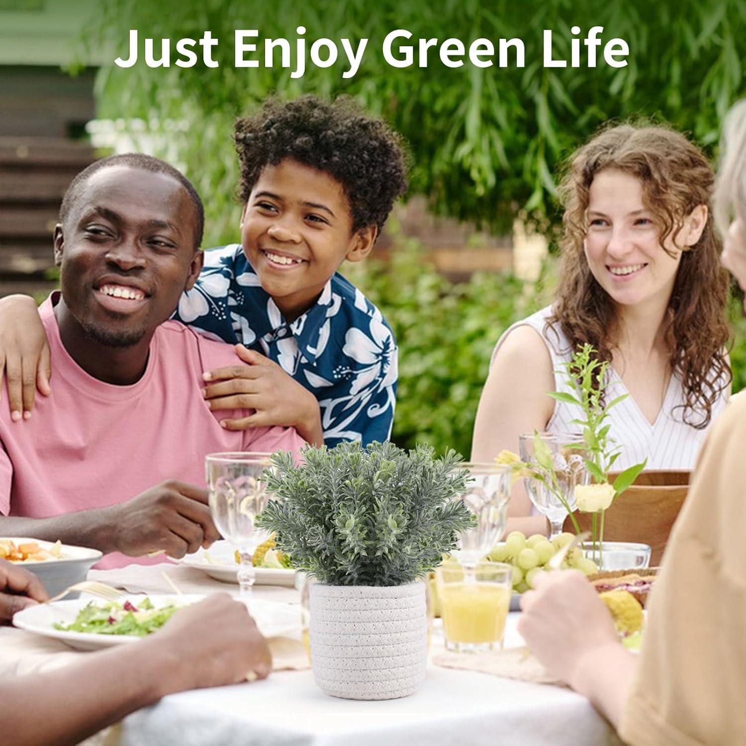 Planta Artificial Eucalipto Hopewood en Canasta Trenzada 22.86 cm