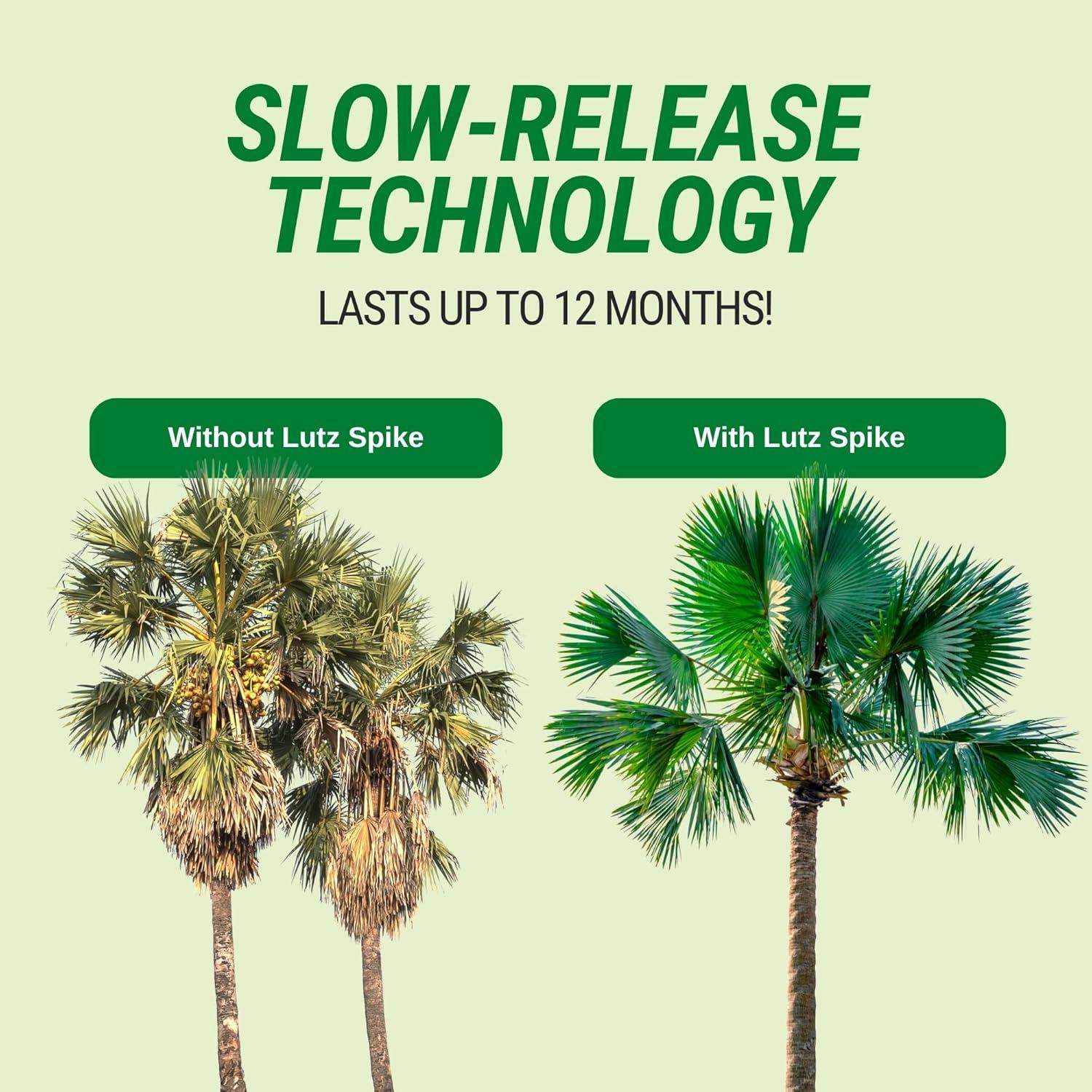 Picos de Fertilizante para Palmas Lutz - 40 Picos de Magnesio