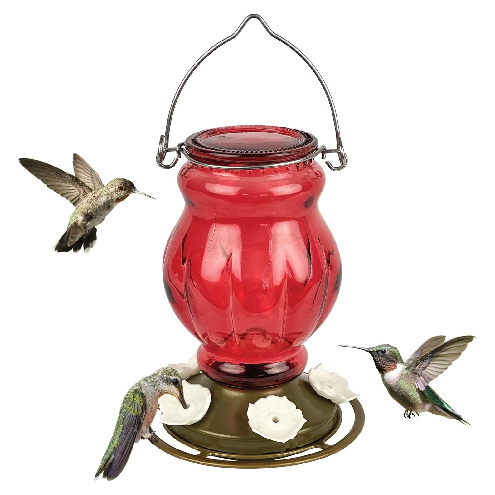 Alimentador de colibríes colgante Nature's Way 739 ml 5 puertos