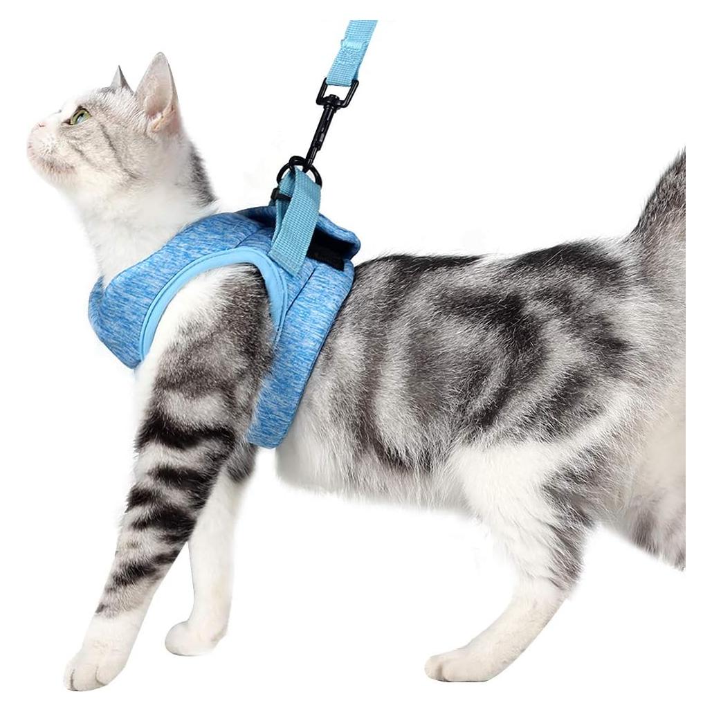 Arnés y Correa para Gatos HEYWEAN - Ultra Ligero y Acolchado