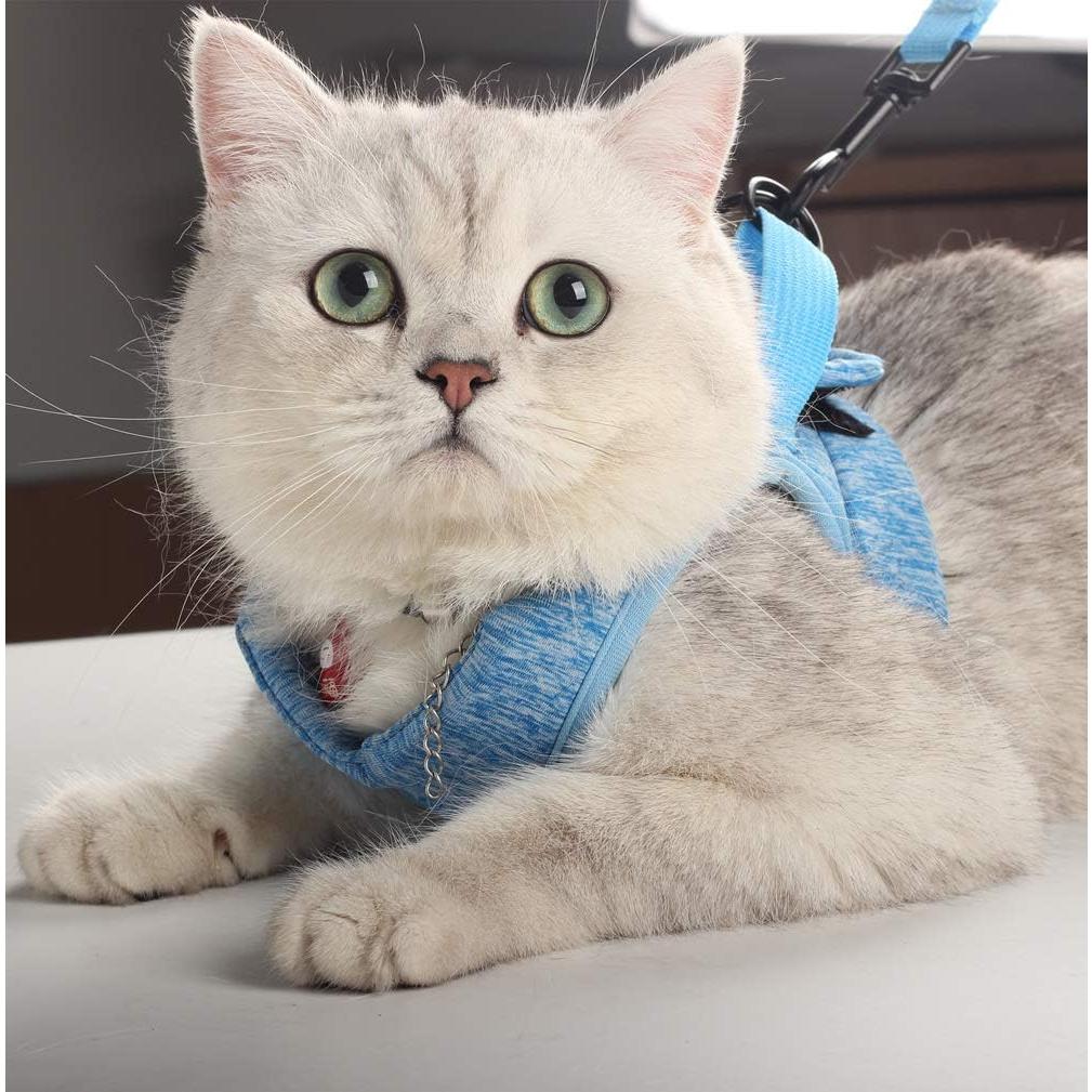 Arnés y Correa para Gatos HEYWEAN - Ultra Ligero y Acolchado