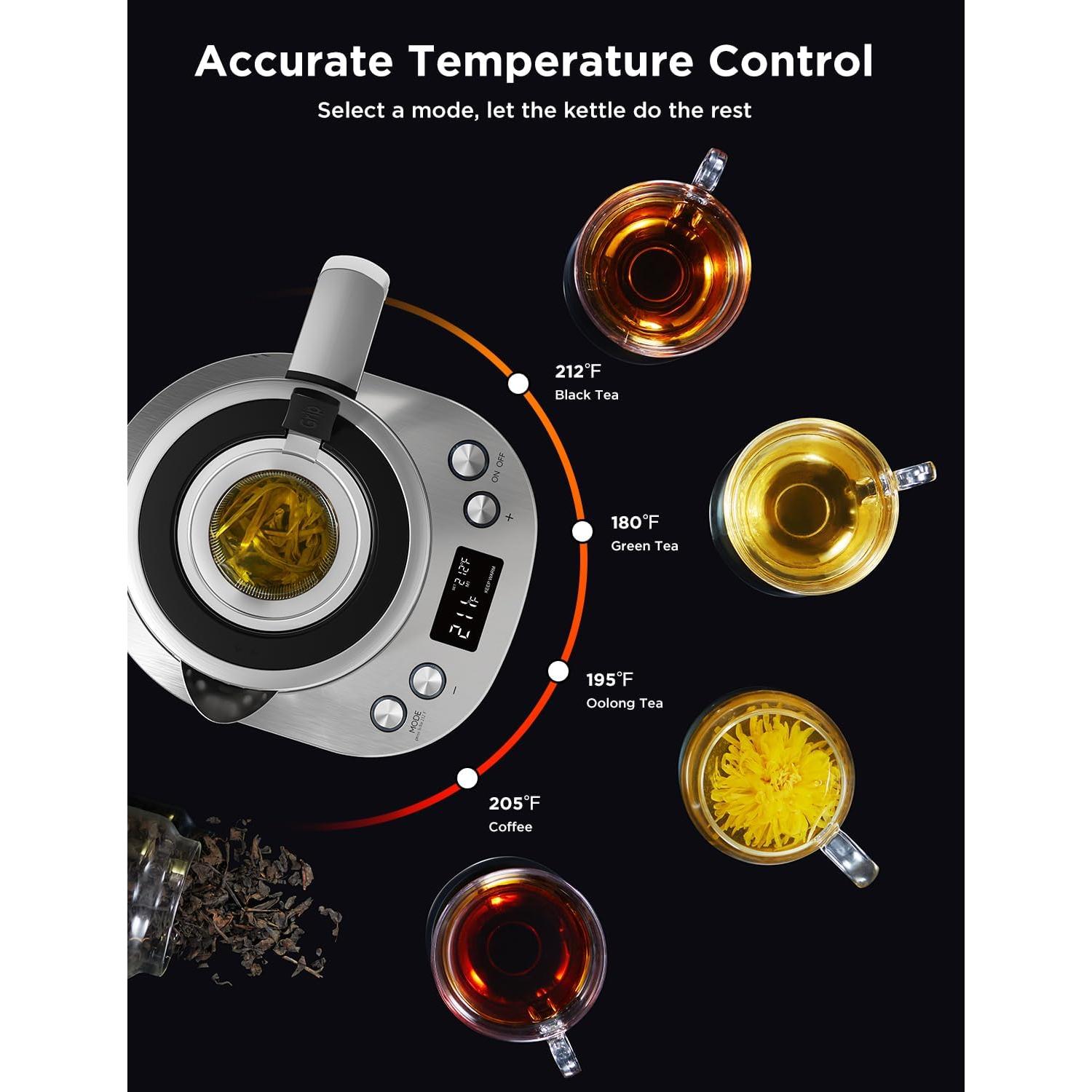 Hervidor Eléctrico GoveeLife H717A 1.7L con Infusor