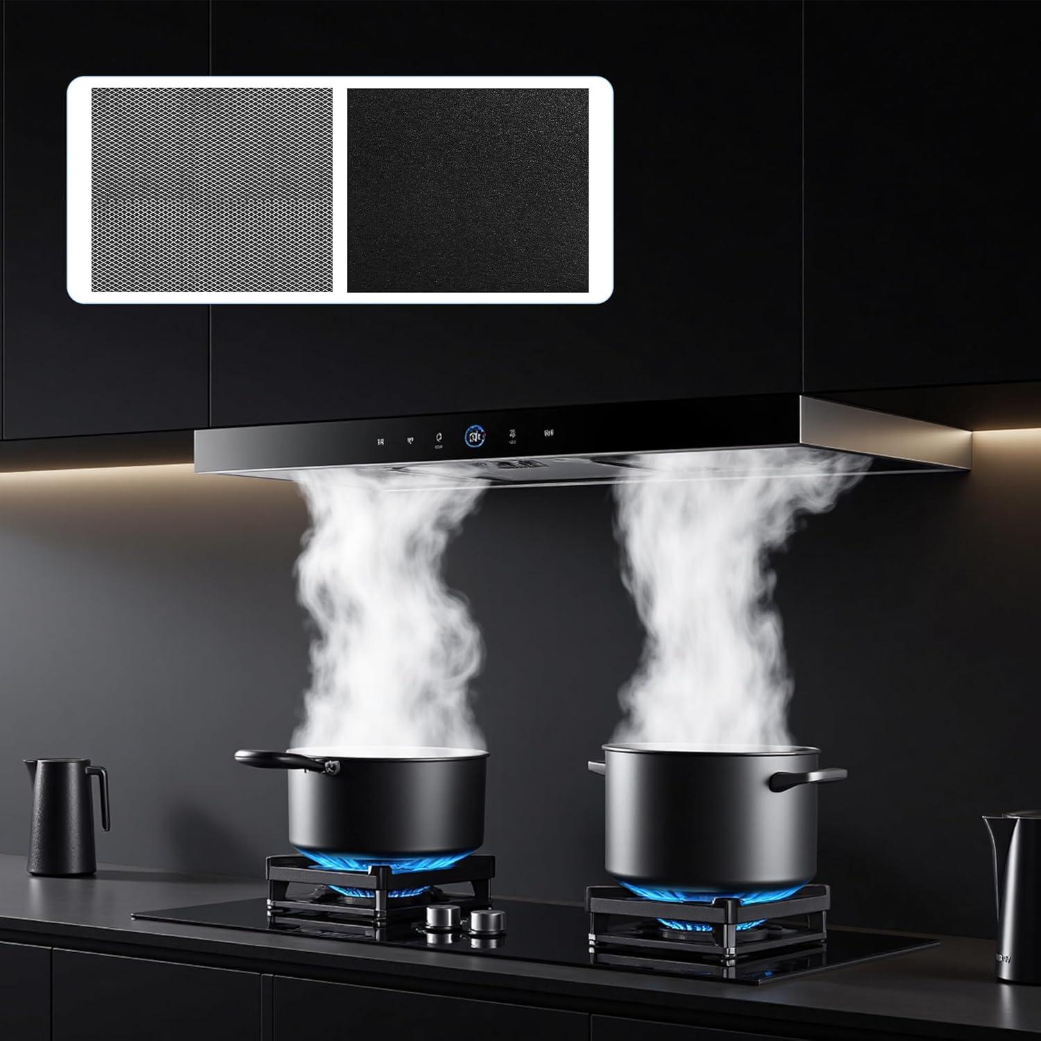 Filtro de Campana Extractora TOMOON 97007696 2 Paquete Aluminio Carbón