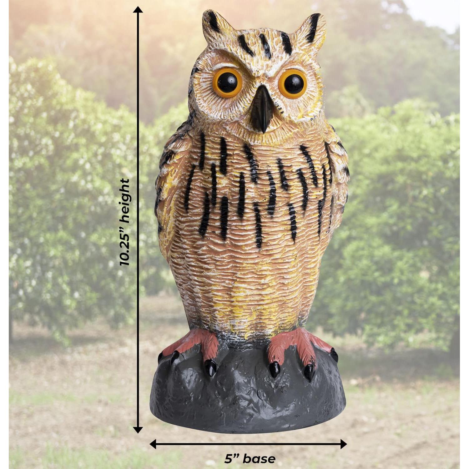 Decoy de Búho Galashield - Estatua Ahuyentadora de Aves - 3 Piezas