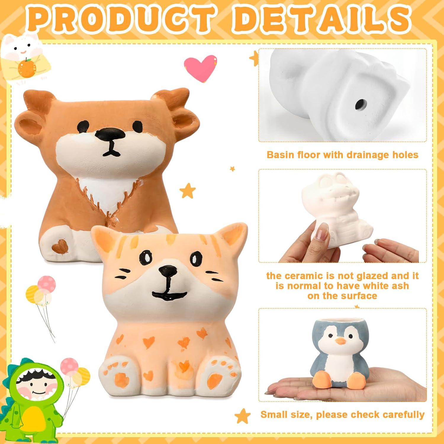 Hushee 12 Macetas Cerámicas Pintables para Suculentas DIY