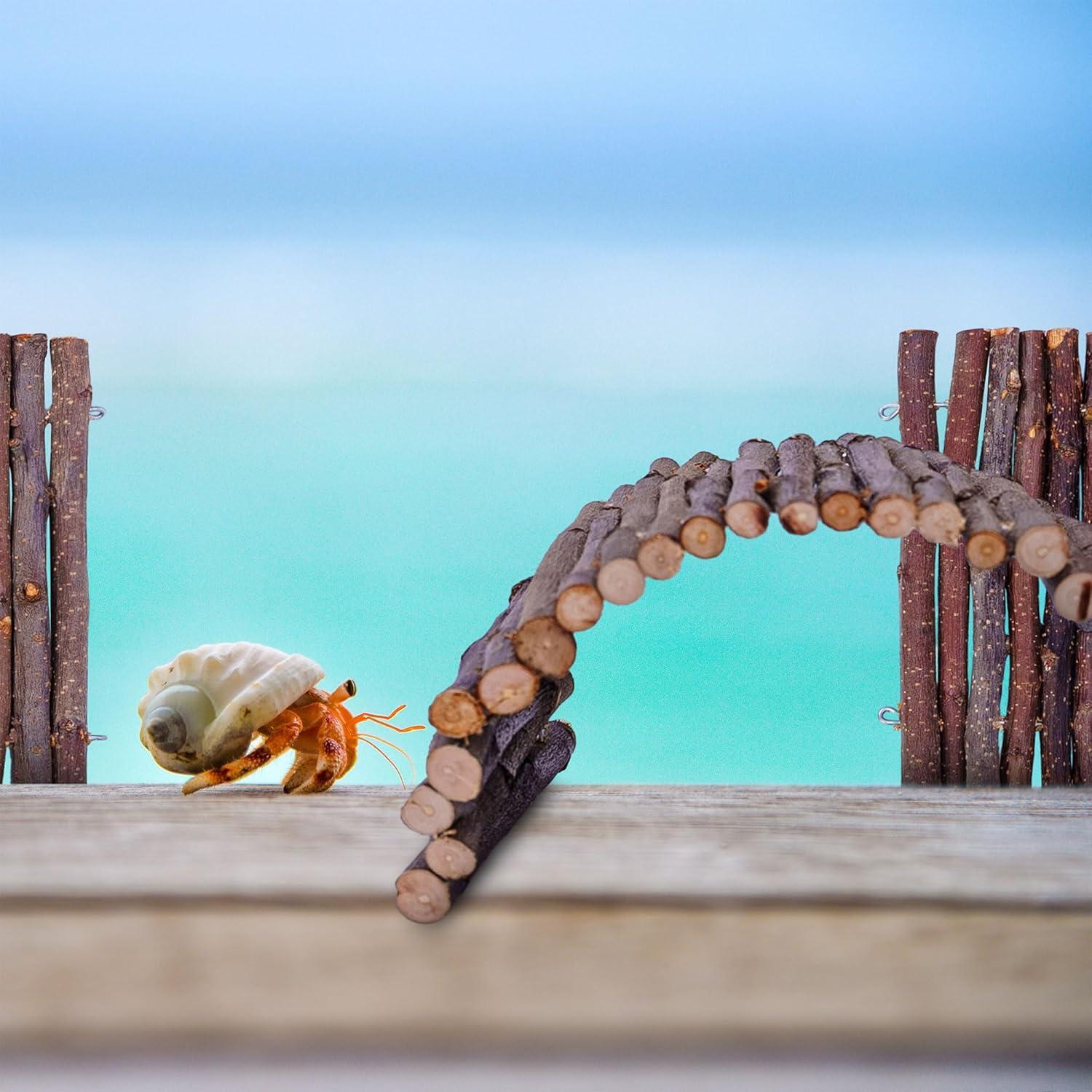 Escondite para Cangrejo Ermitaño Warmfarm 20x15cm Madera Natural