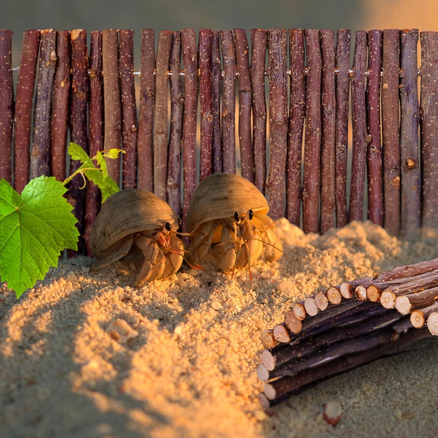 Escondite para Cangrejo Ermitaño Warmfarm 20x15cm Madera Natural