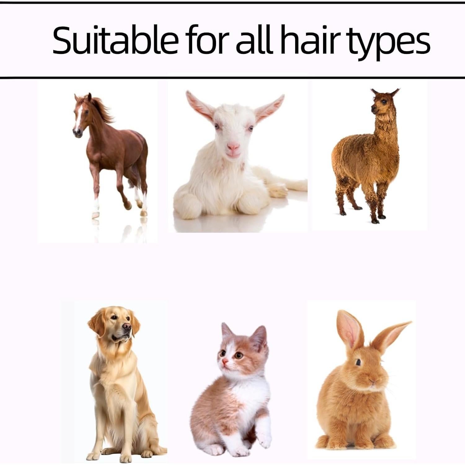 Cuchillas de Repuesto Cerámicas Grimgrow 50mm para Mascotas