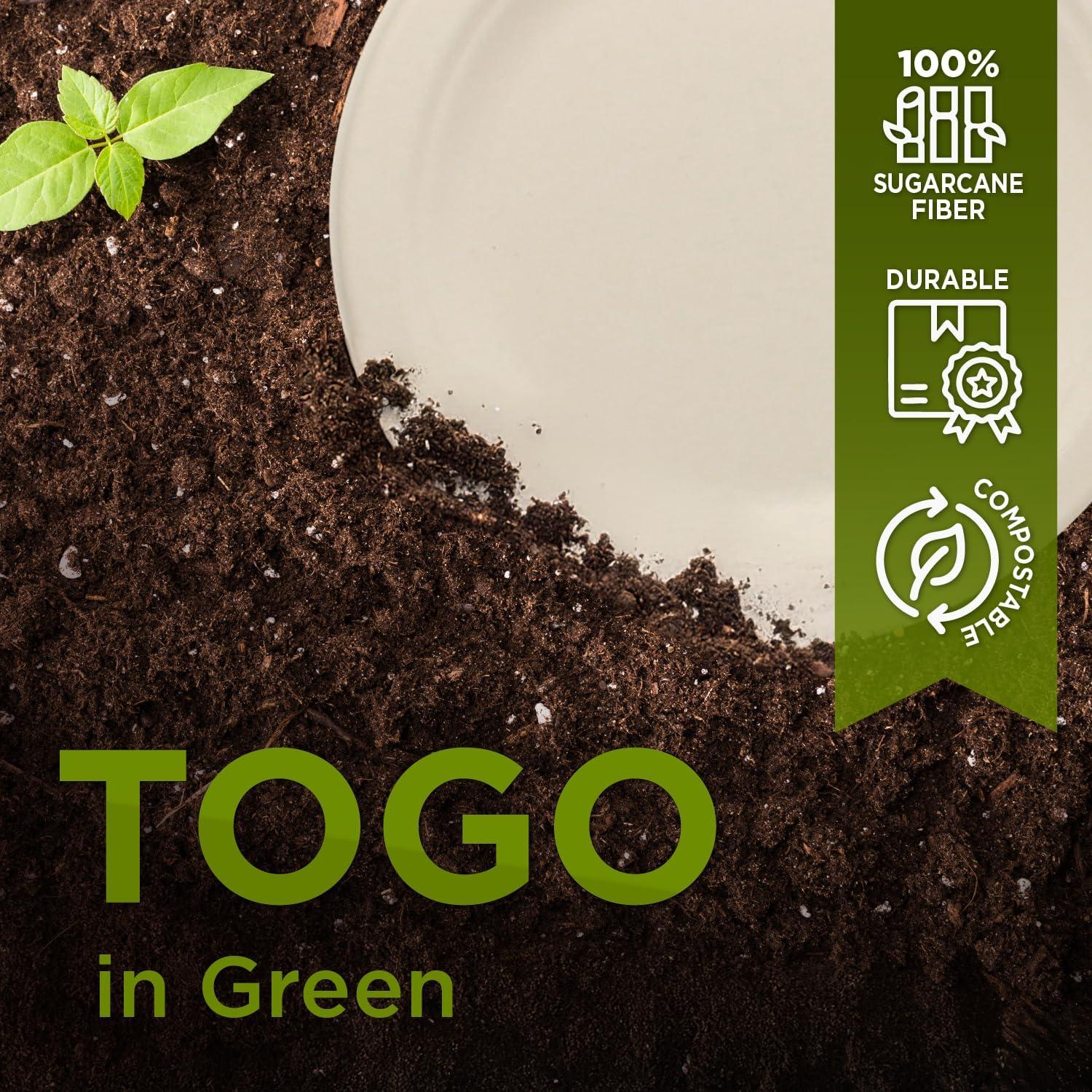 Platos de Papel Compostables Karat Earth 9" - Paquete de 500