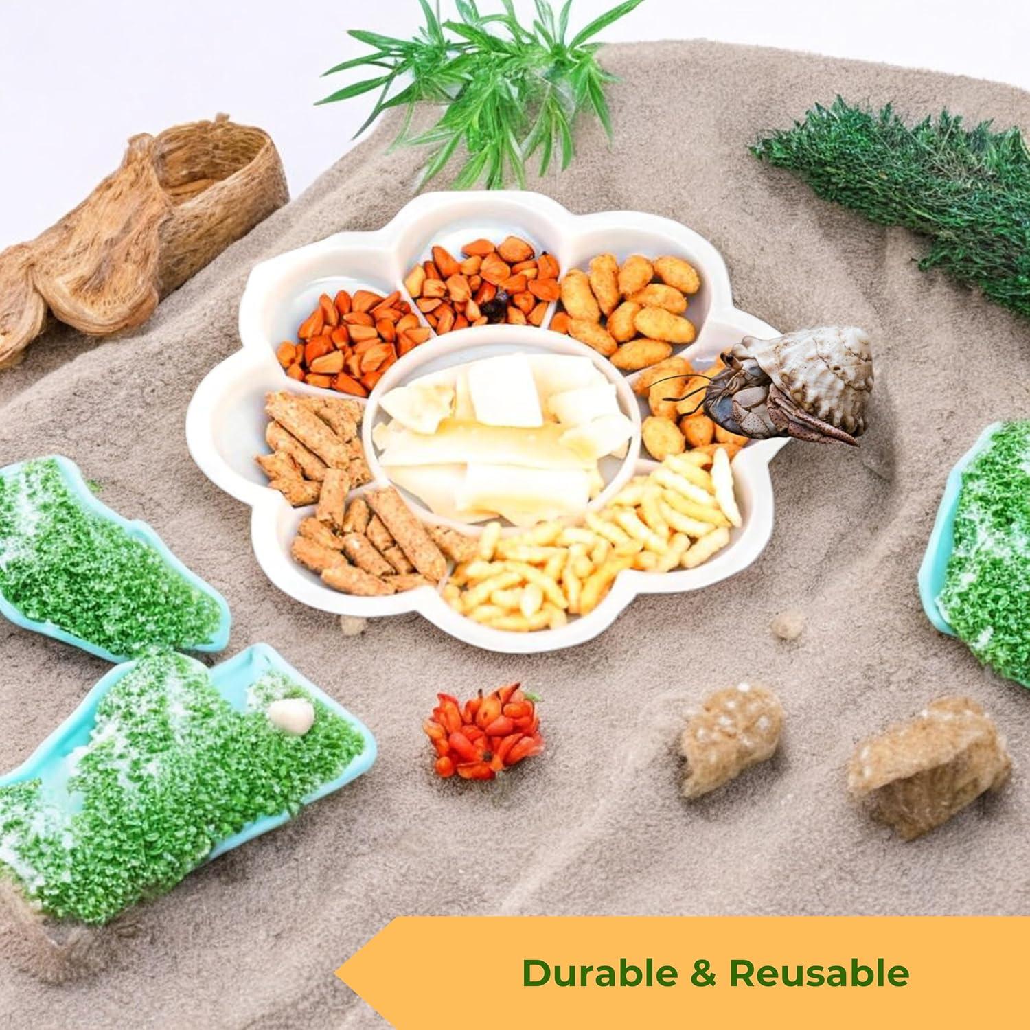 Juego de 2 Tazones de Comida para Cangrejos Ermitaños PurrrfectionPet Azul