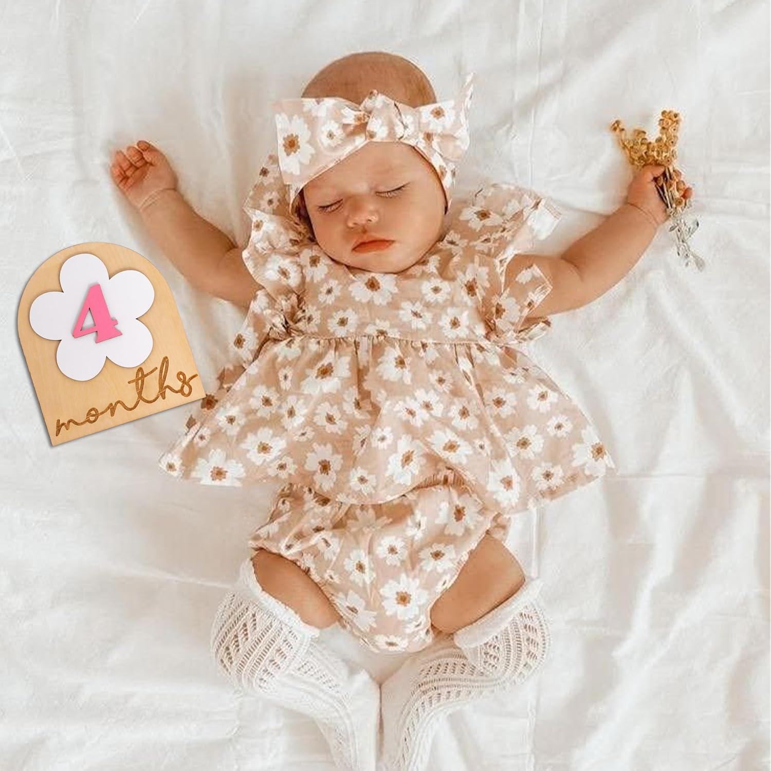 Carteles de Fotos de Hitos para Bebés Daisy - 12 Números Rosados