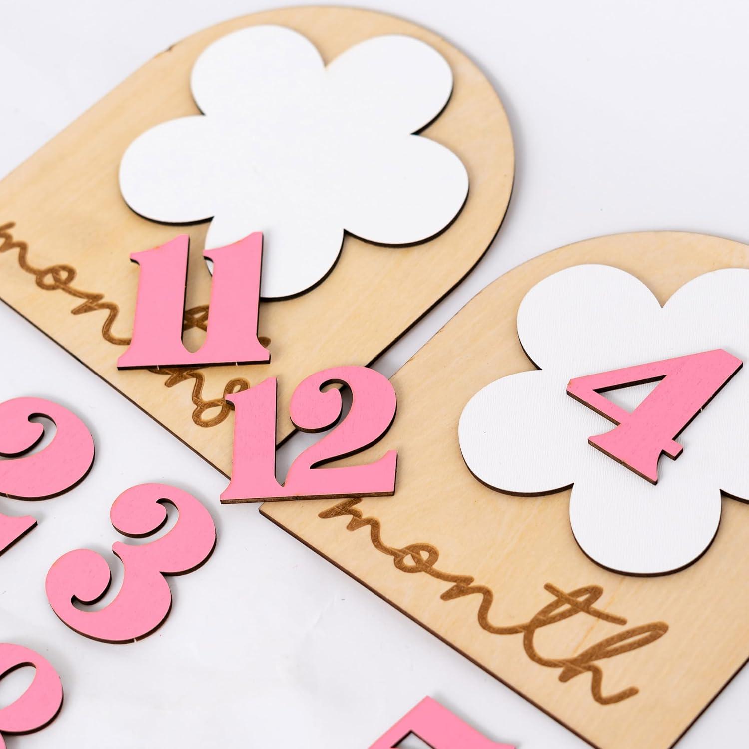 Carteles de Fotos de Hitos para Bebés Daisy - 12 Números Rosados