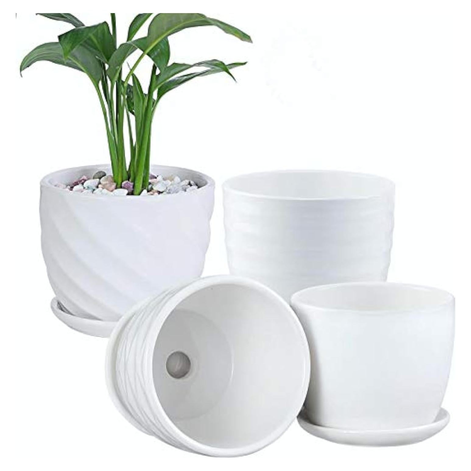 Macetas de cerámica cilíndricas Sietpoek 11.9 cm juego de 4