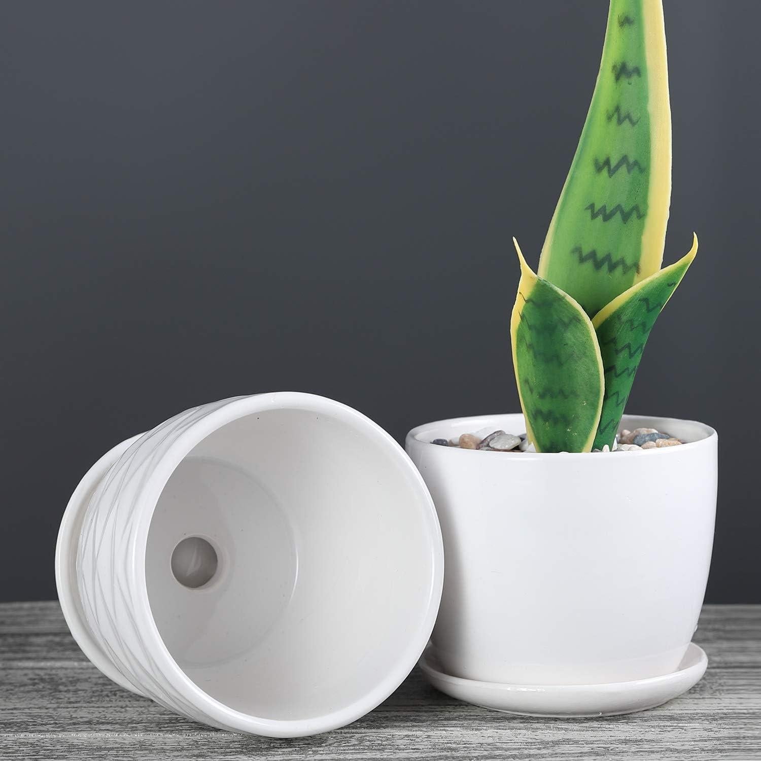 Macetas de cerámica cilíndricas Sietpoek 11.9 cm juego de 4