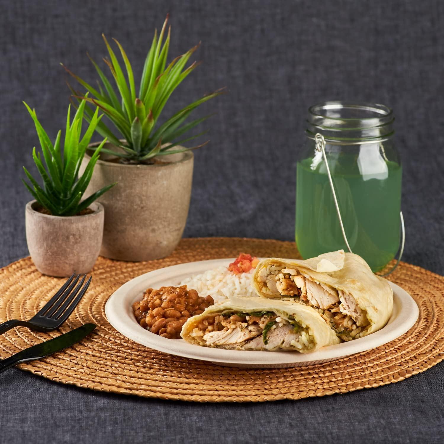 Platos Compostables Karat Earth 9" Biodegradables Caja 500