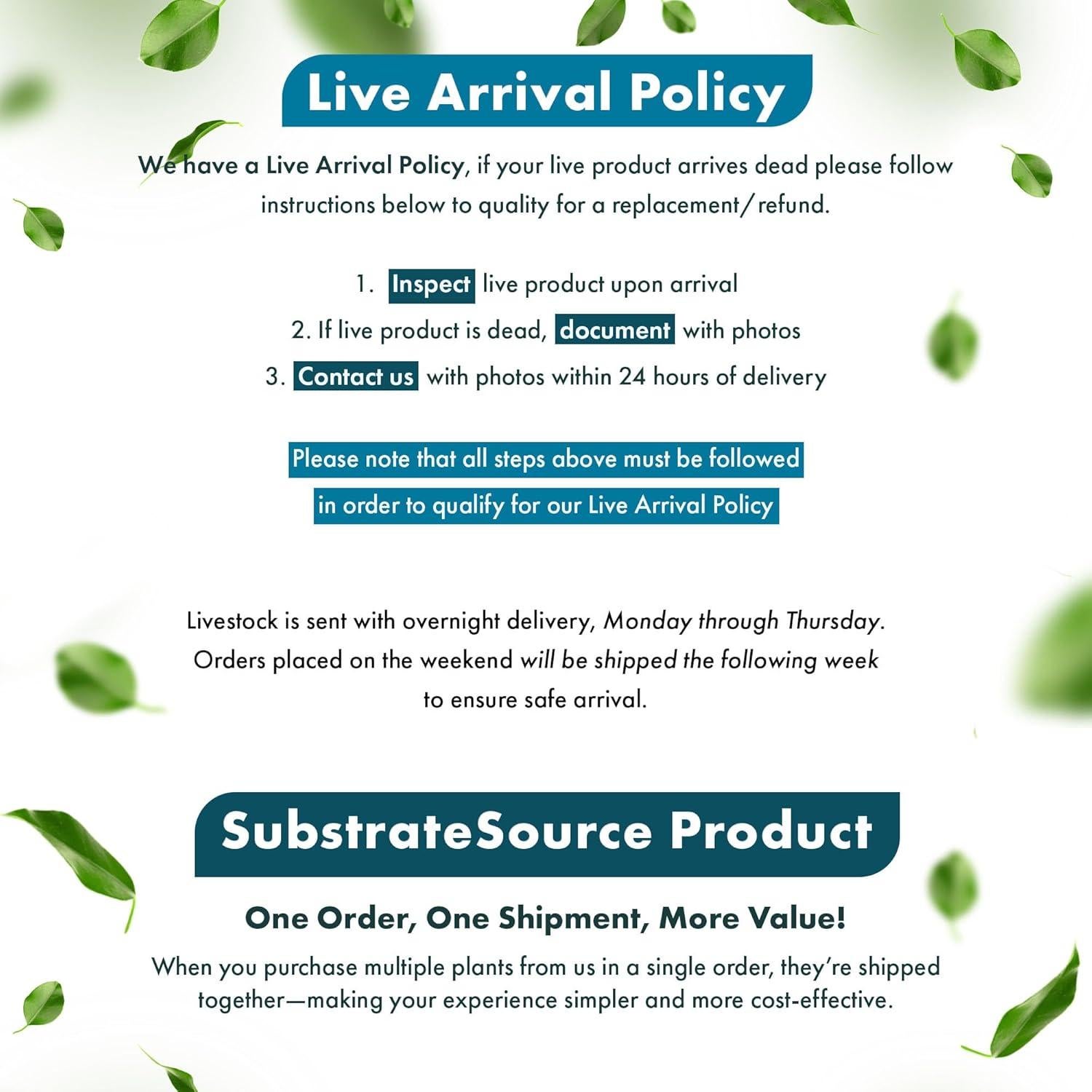 Planta Acuática Vallisneria Americana - Cuidado Fácil, Verde Brillante