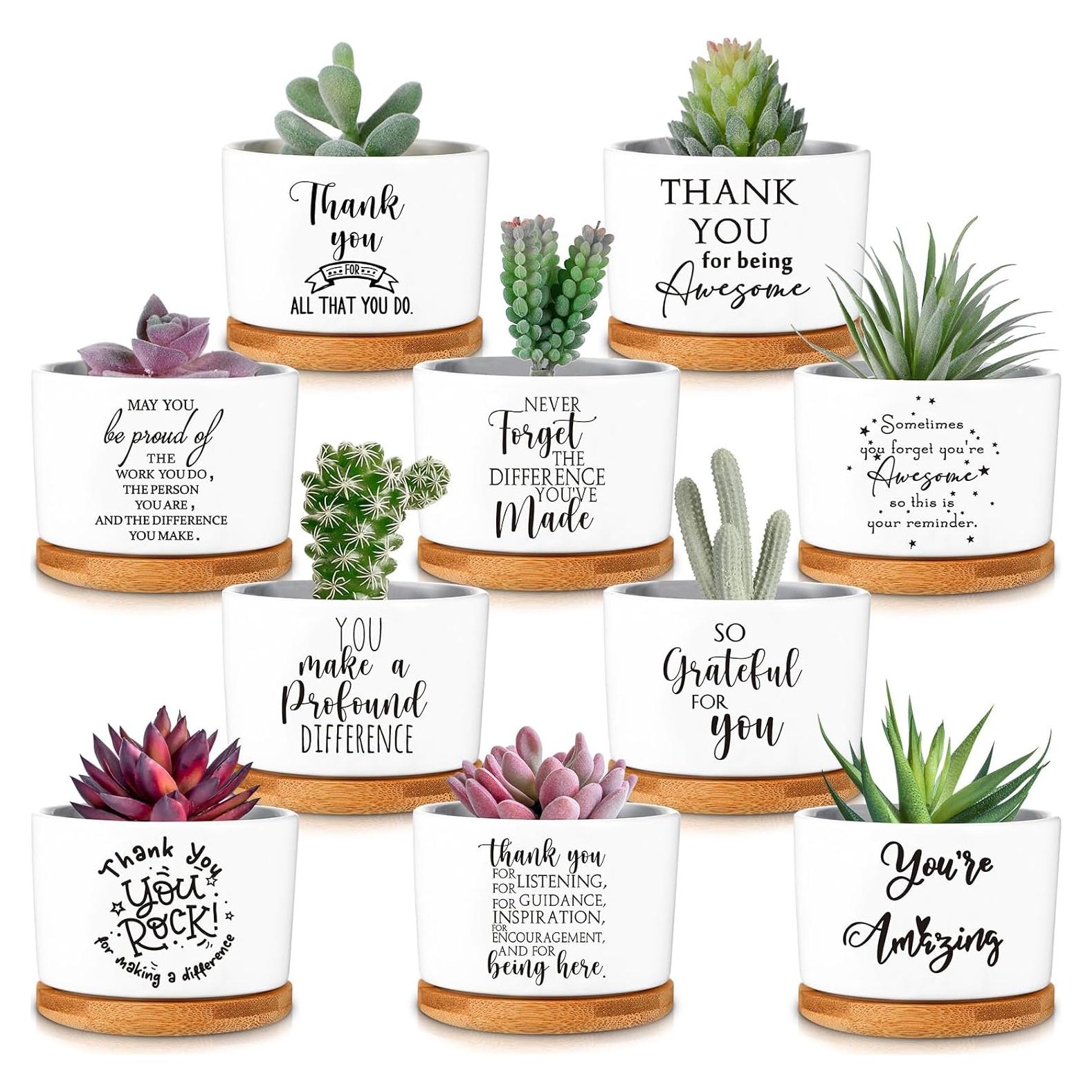 Set de 10 Macetas de Cerámica con Bandeja de Bambú Yaomiao