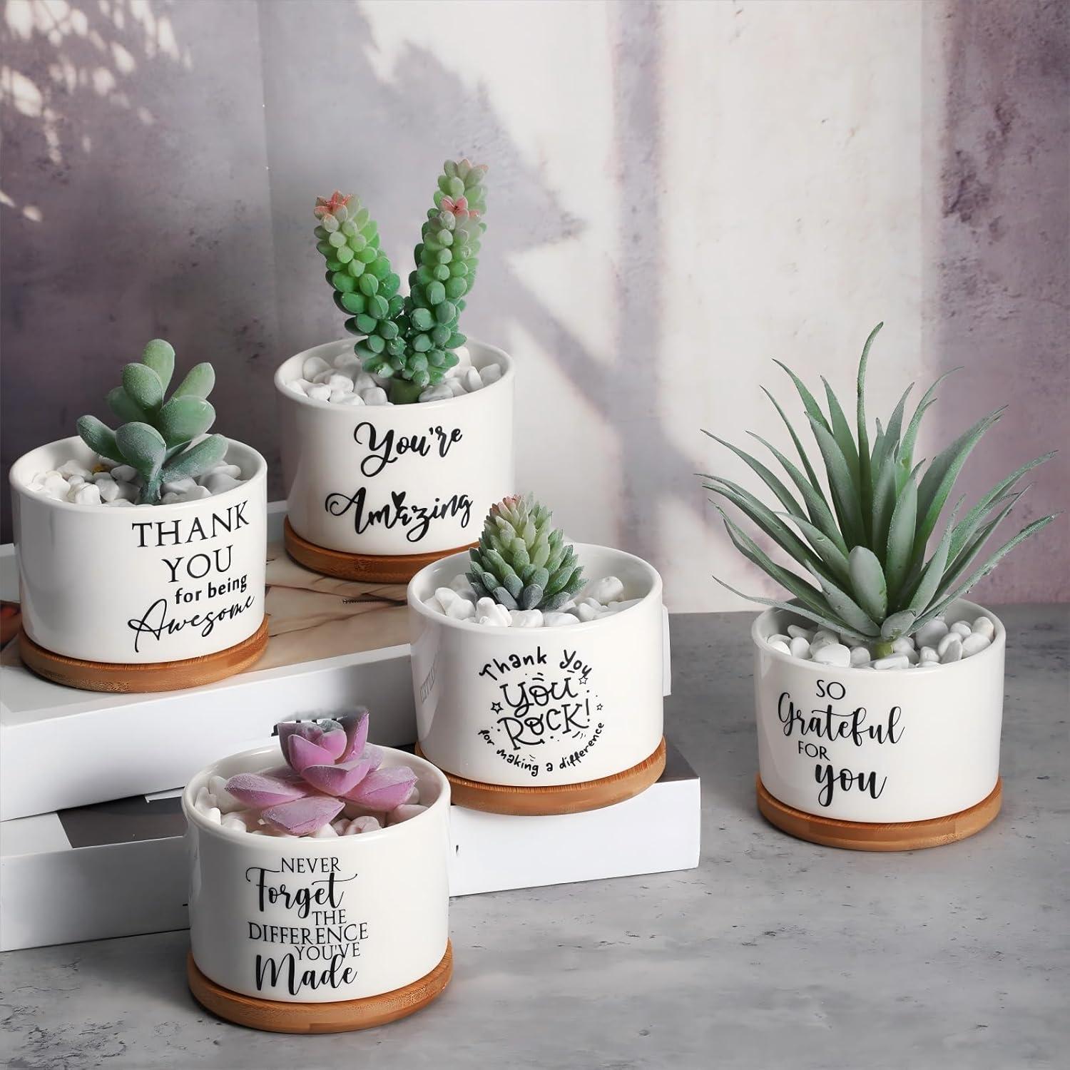 Set de 10 Macetas de Cerámica con Bandeja de Bambú Yaomiao