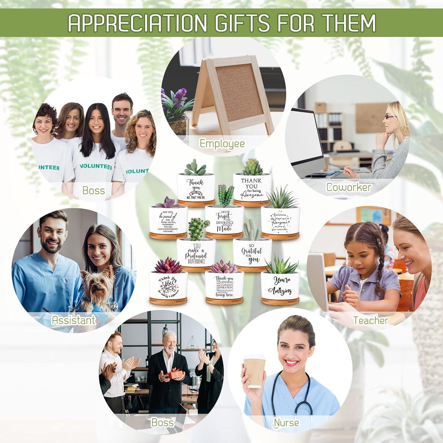 Set de 10 Macetas de Cerámica con Bandeja de Bambú Yaomiao