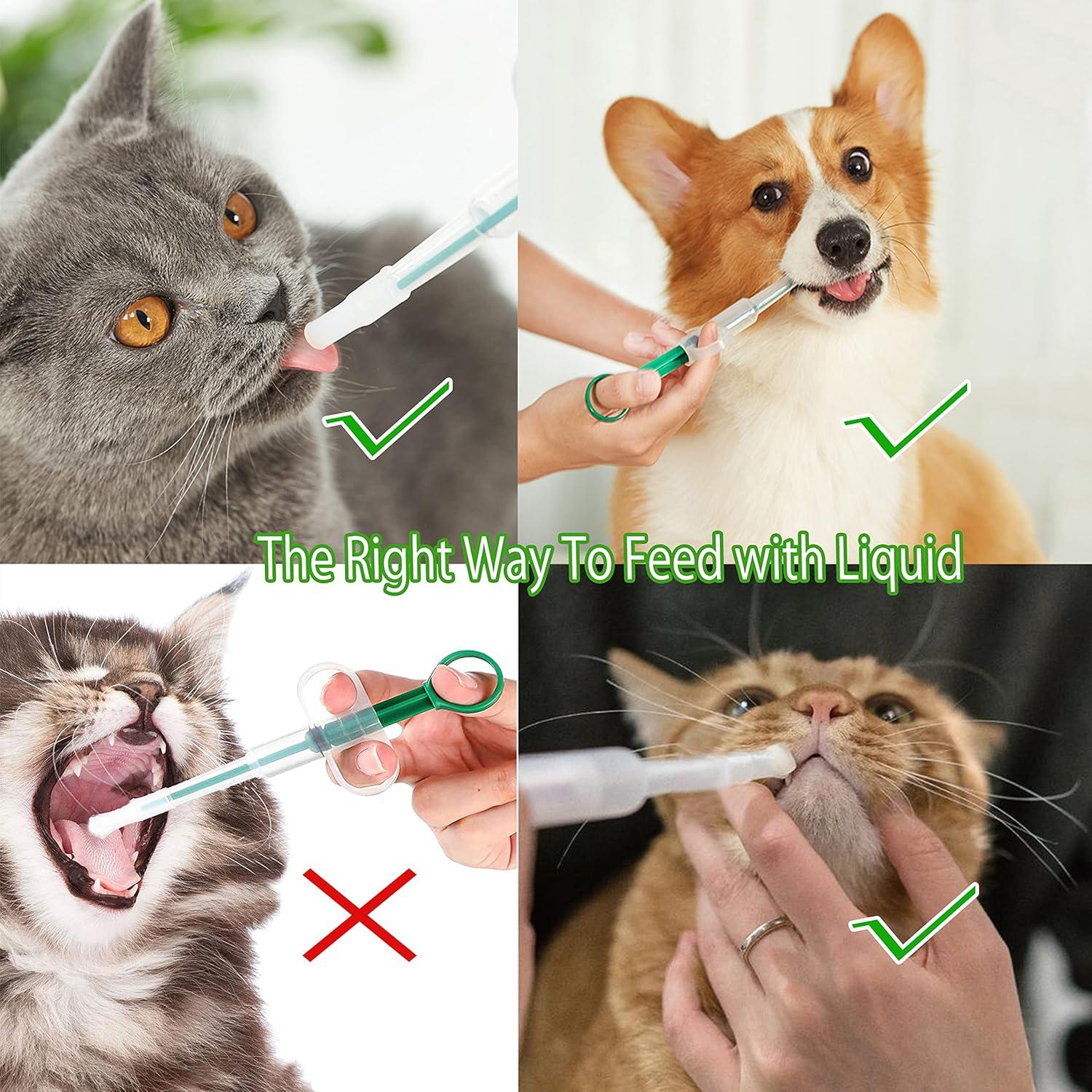 Dispensador de Medicamentos para Mascotas Giiiiump 4 en 1 Verde