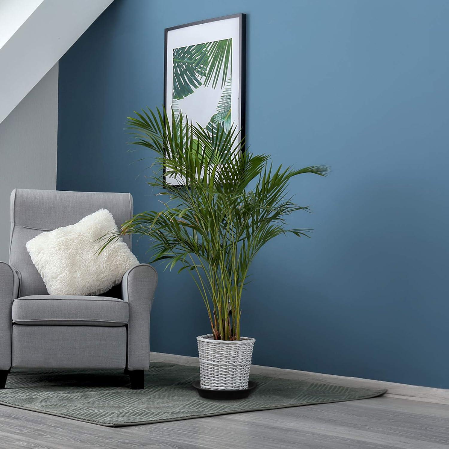 Paquete de 3 platos para plantas TITE 26.9 cm negros