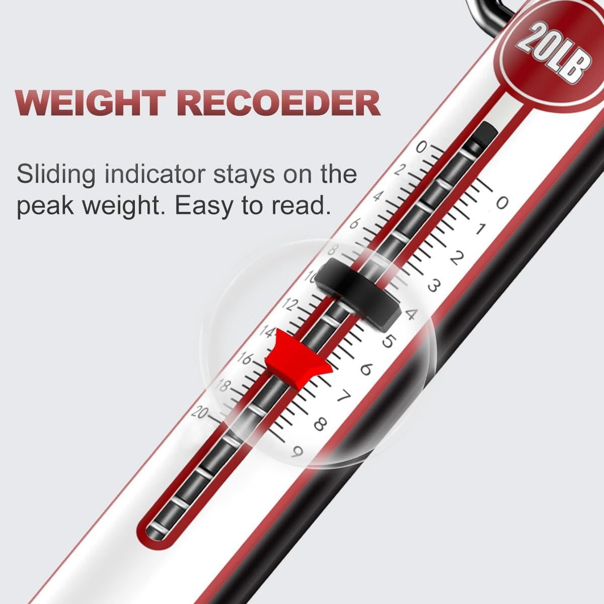 Balanza de Pesca RUTA DE CARACOL 20 kg Mecánica con Gancho