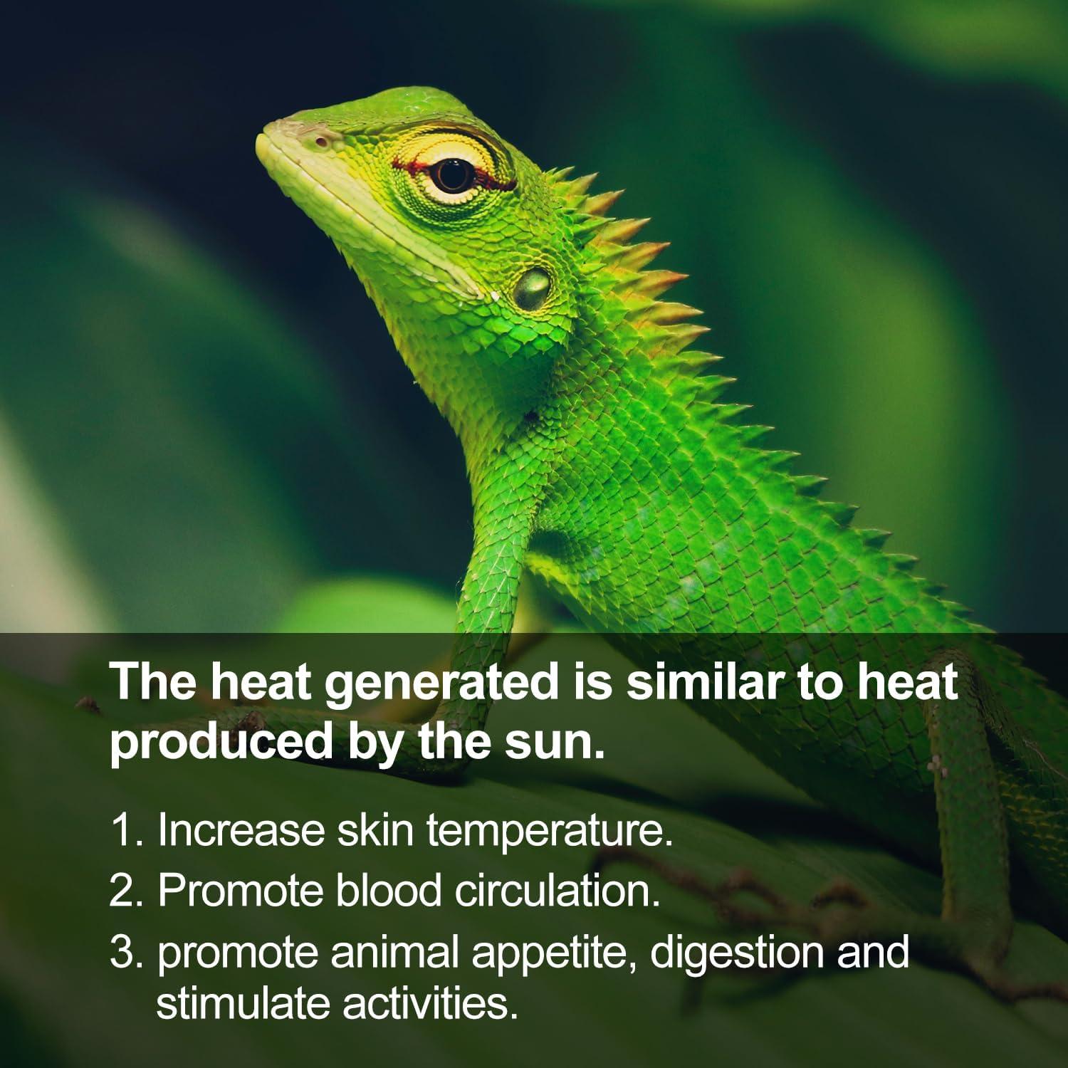 Lámpara de Calor Infrarrojo REPTI ZOO 80W para Reptiles