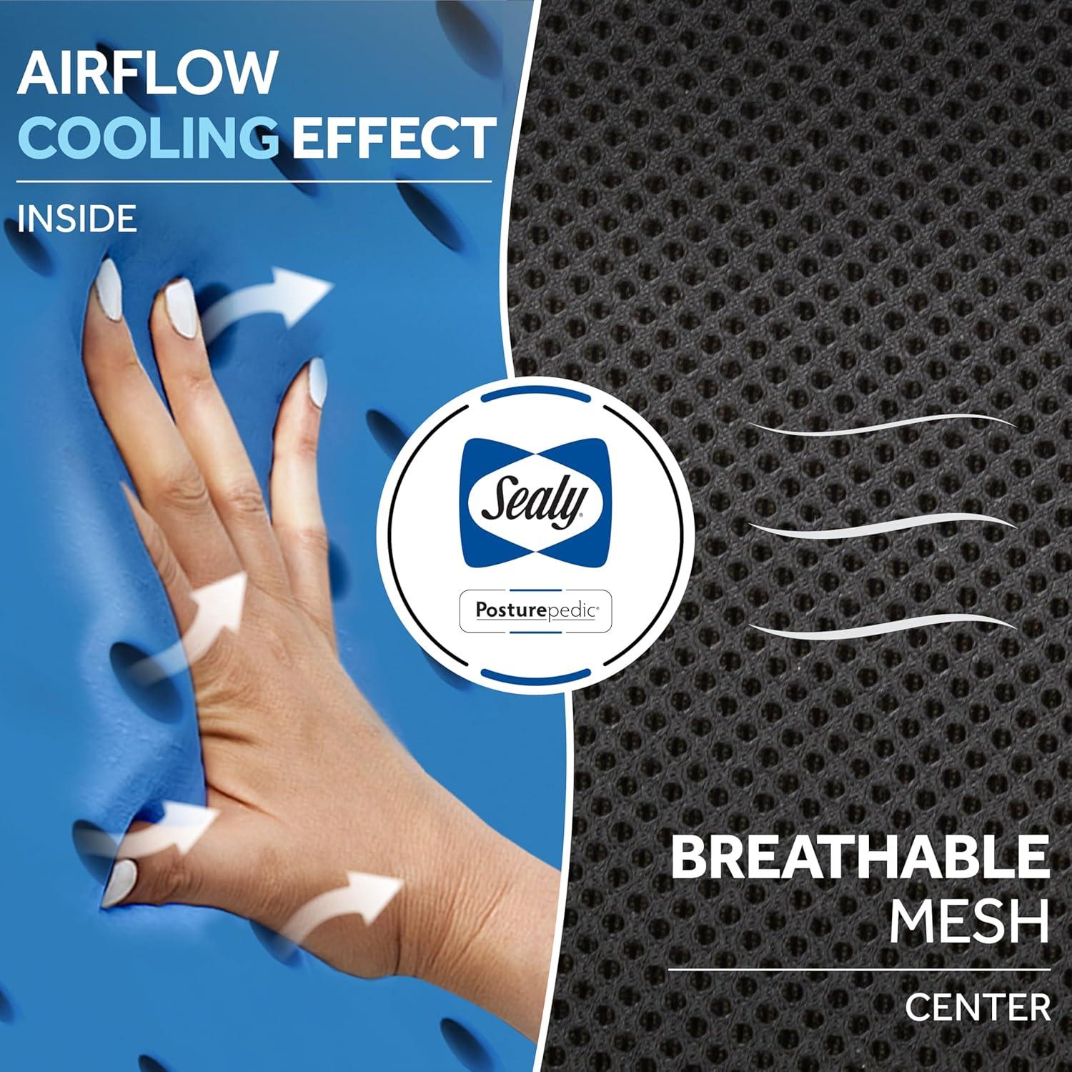 Cojín Lumbar Ortopédico Sealy de Espuma Viscoelástica Negro