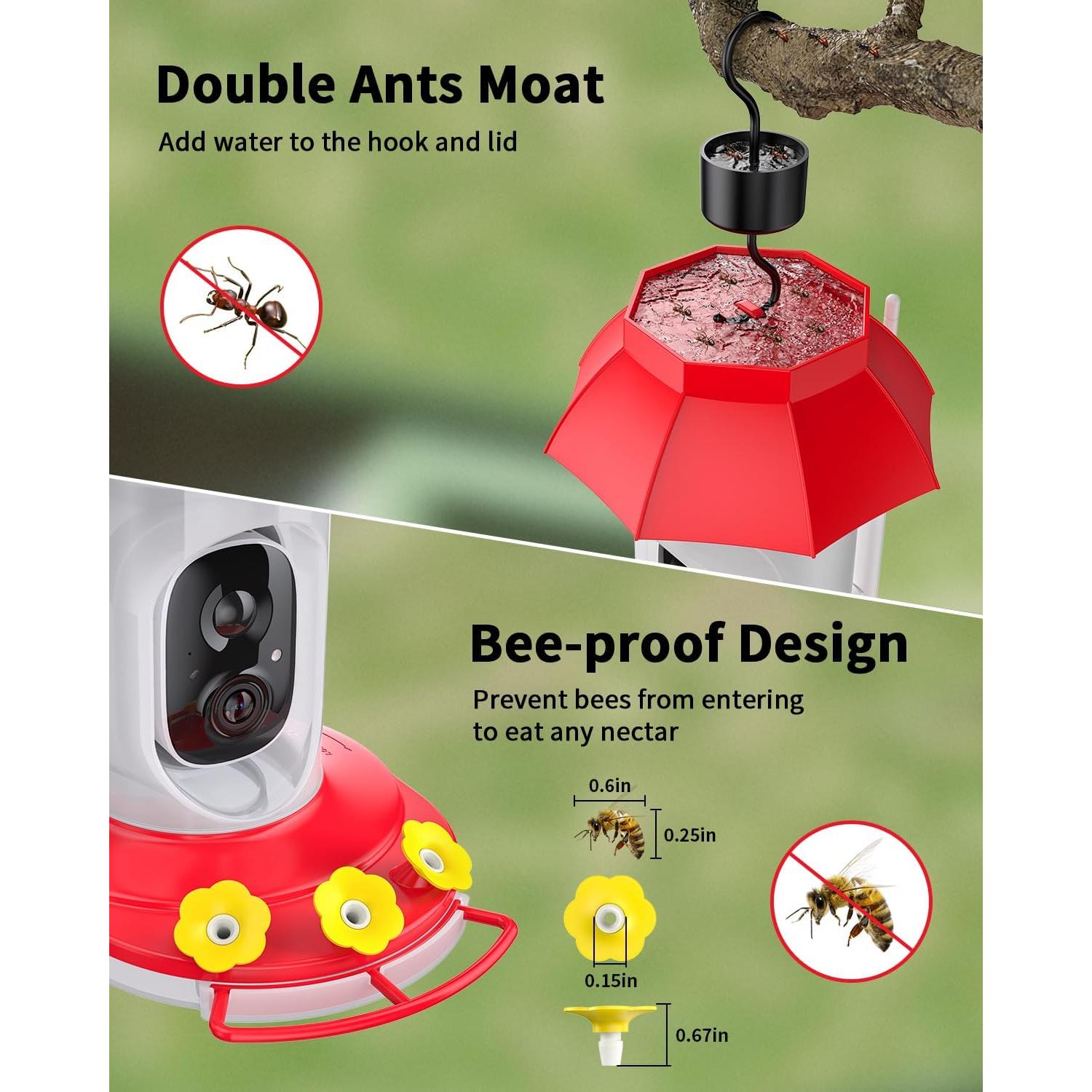 Comedero para Colibríes HARYMOR con Cámara Solar y 32GB