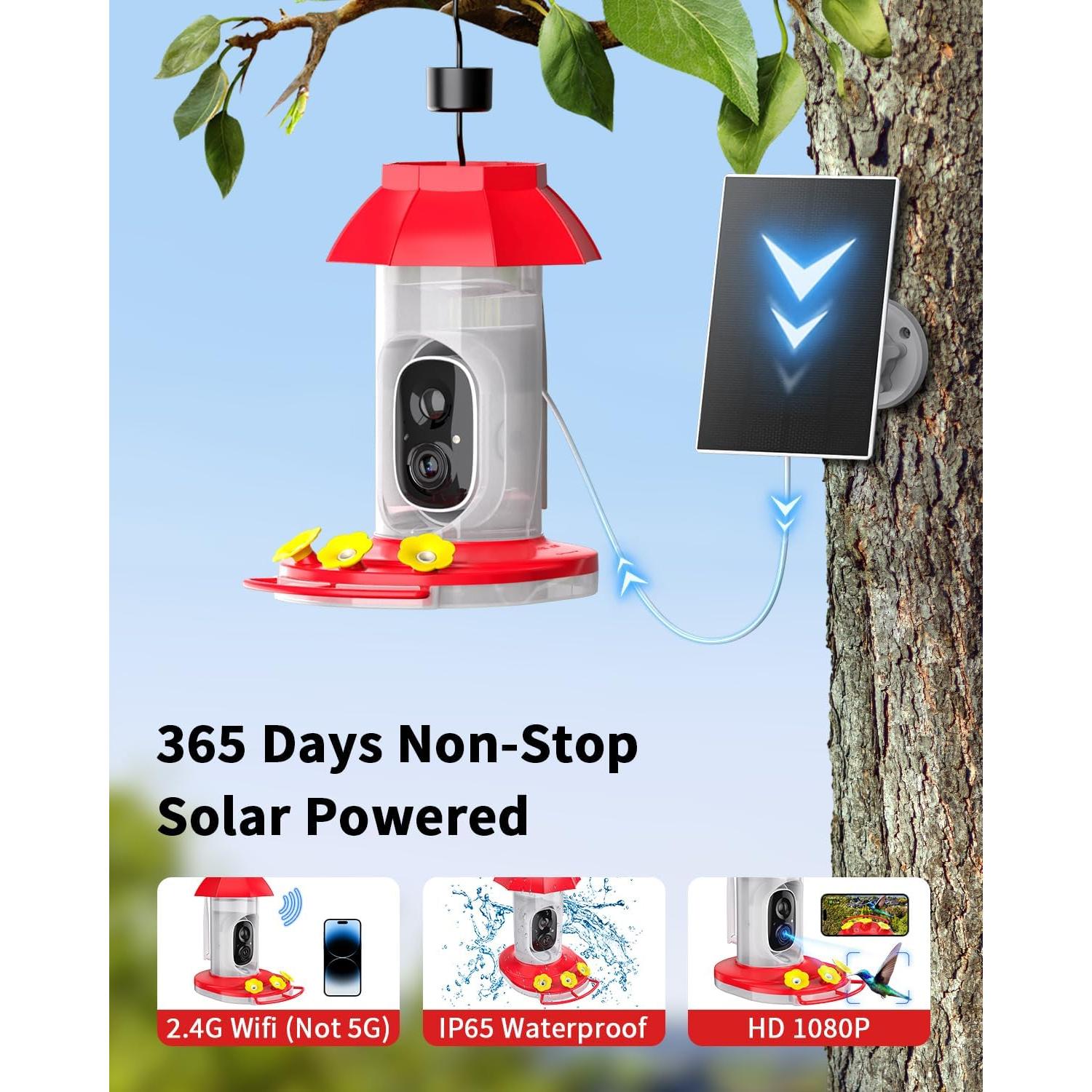 Comedero para Colibríes HARYMOR con Cámara Solar y 32GB