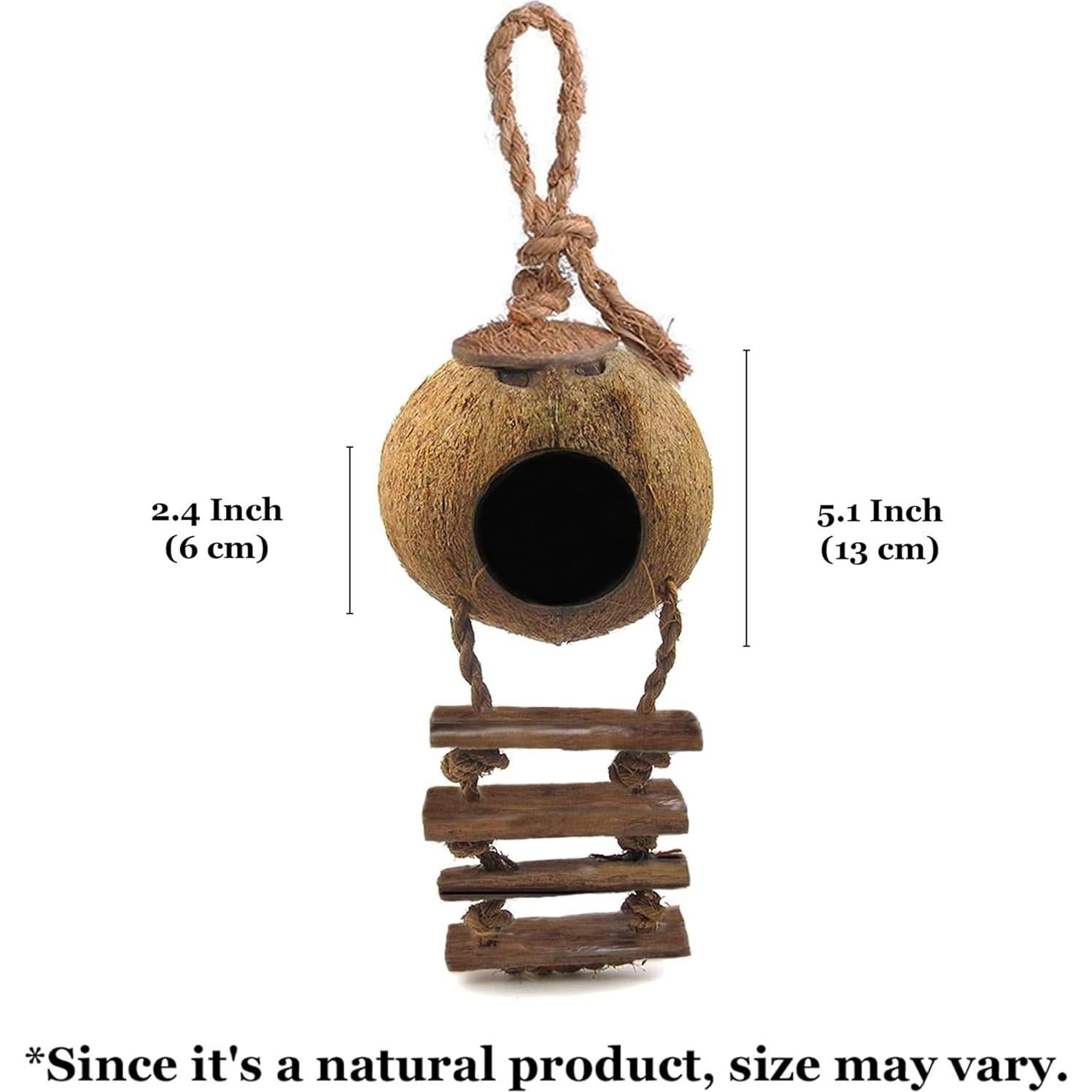 Casa de Coco SunGrow con Escalera para Gecko y Reptiles