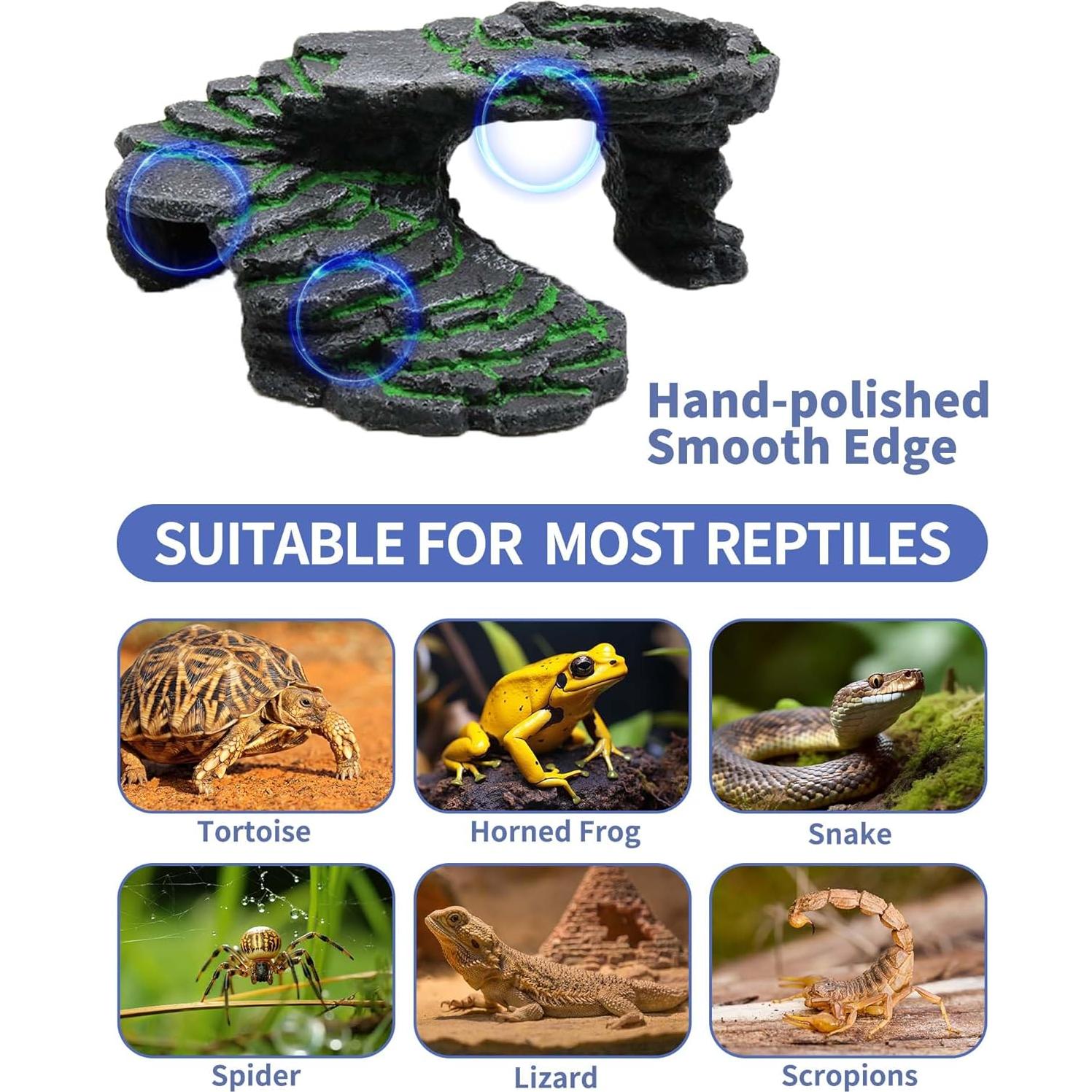 Kit Plataforma de Sol para Tortugas Moonorange 25x9.5cm