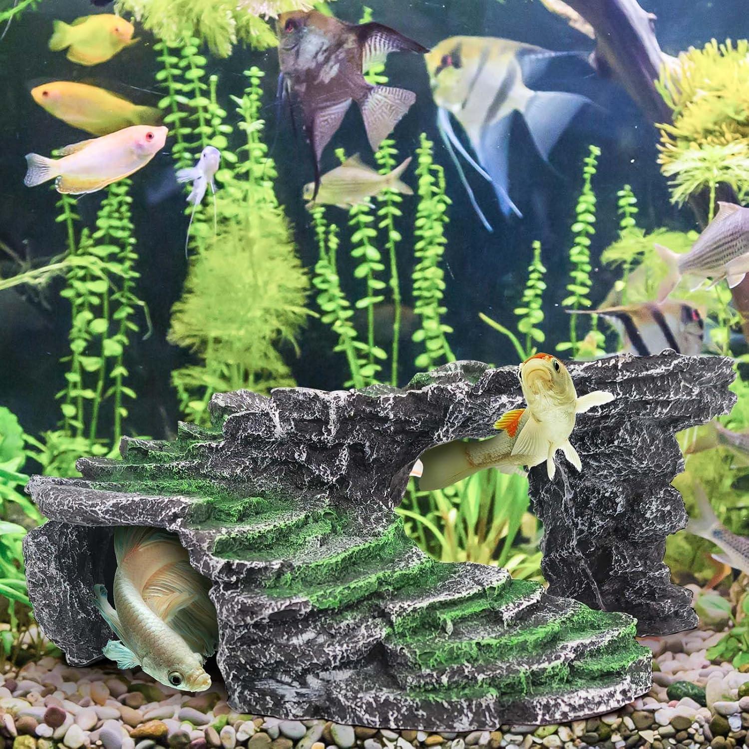 Kit Plataforma de Sol para Tortugas Moonorange 25x9.5cm