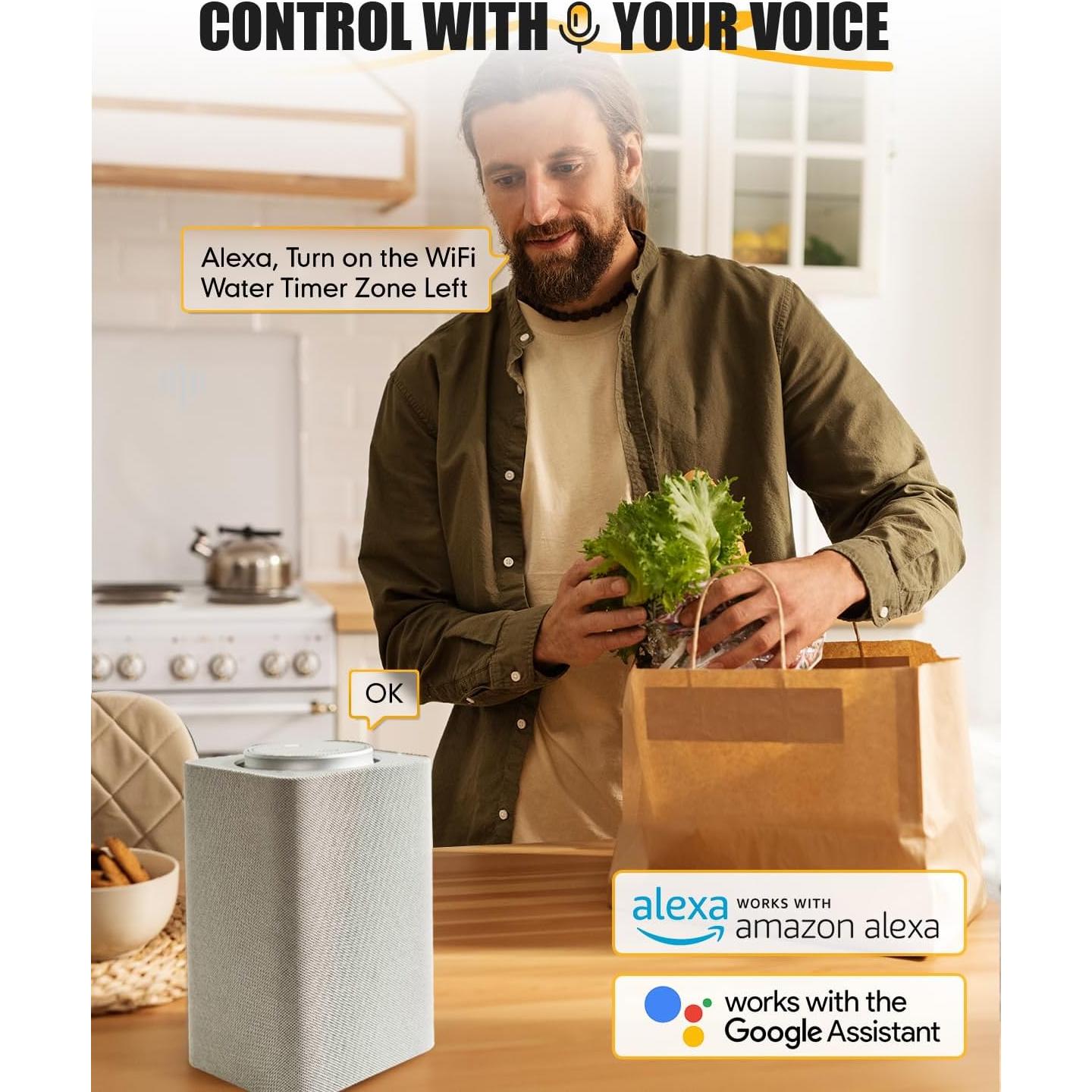 Temporizador de Riego WiFi RAINPOINT 2 Zonas Bronce