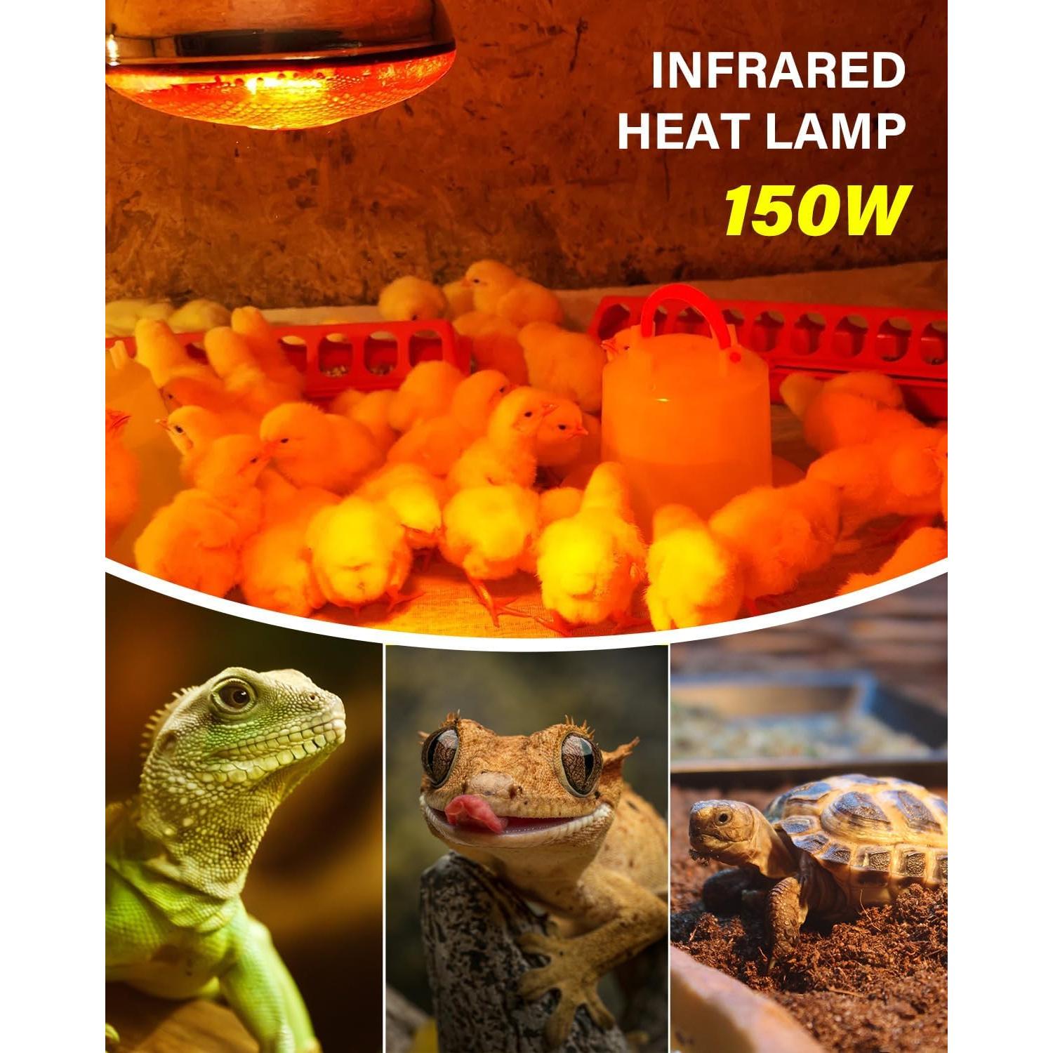 Lámpara de Calor Infrarroja TobeBright 150W para Gallinas