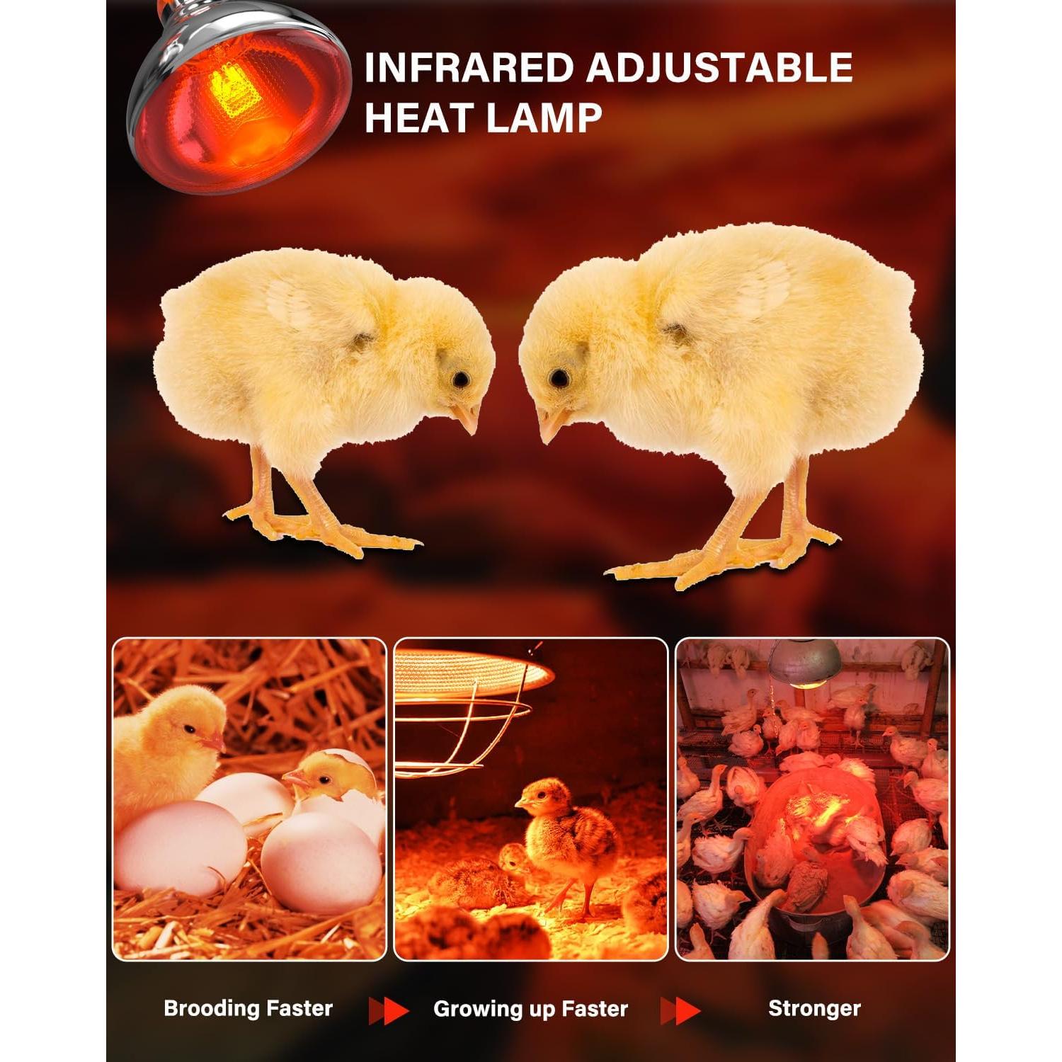 Lámpara de Calor Infrarroja TobeBright 150W para Gallinas