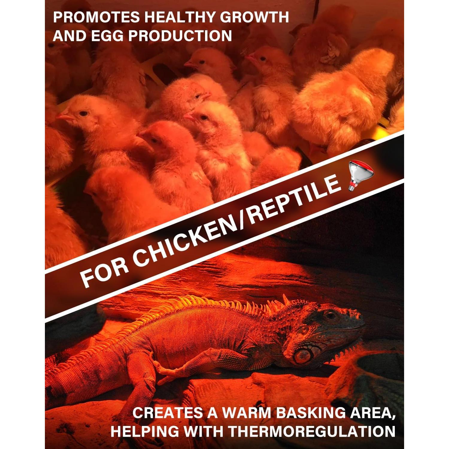 Lámpara de Calor Infrarroja TobeBright 150W para Gallinas