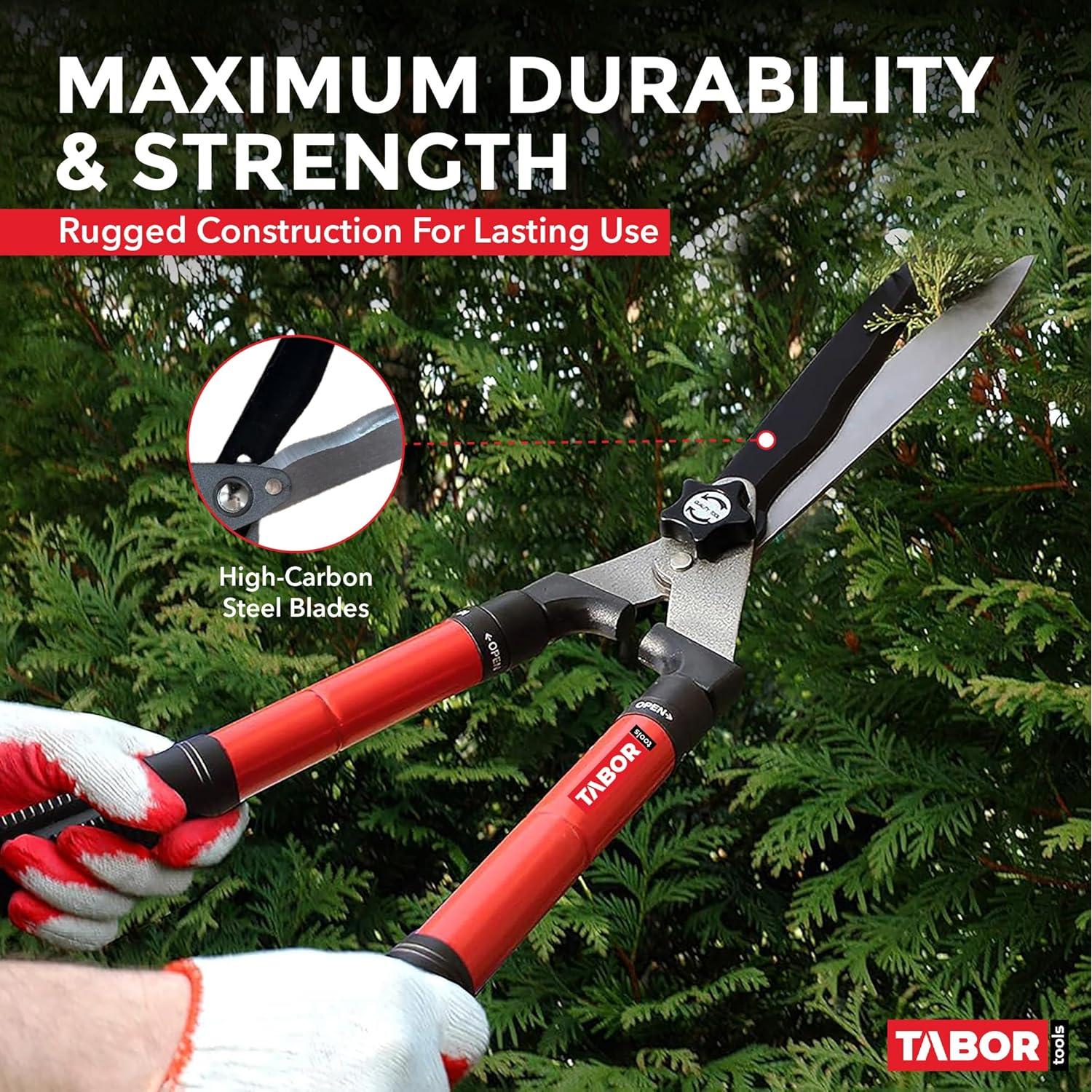 Tijeras de Seto Telescópicas TABOR TOOLS B212A 63.5-83.8 cm