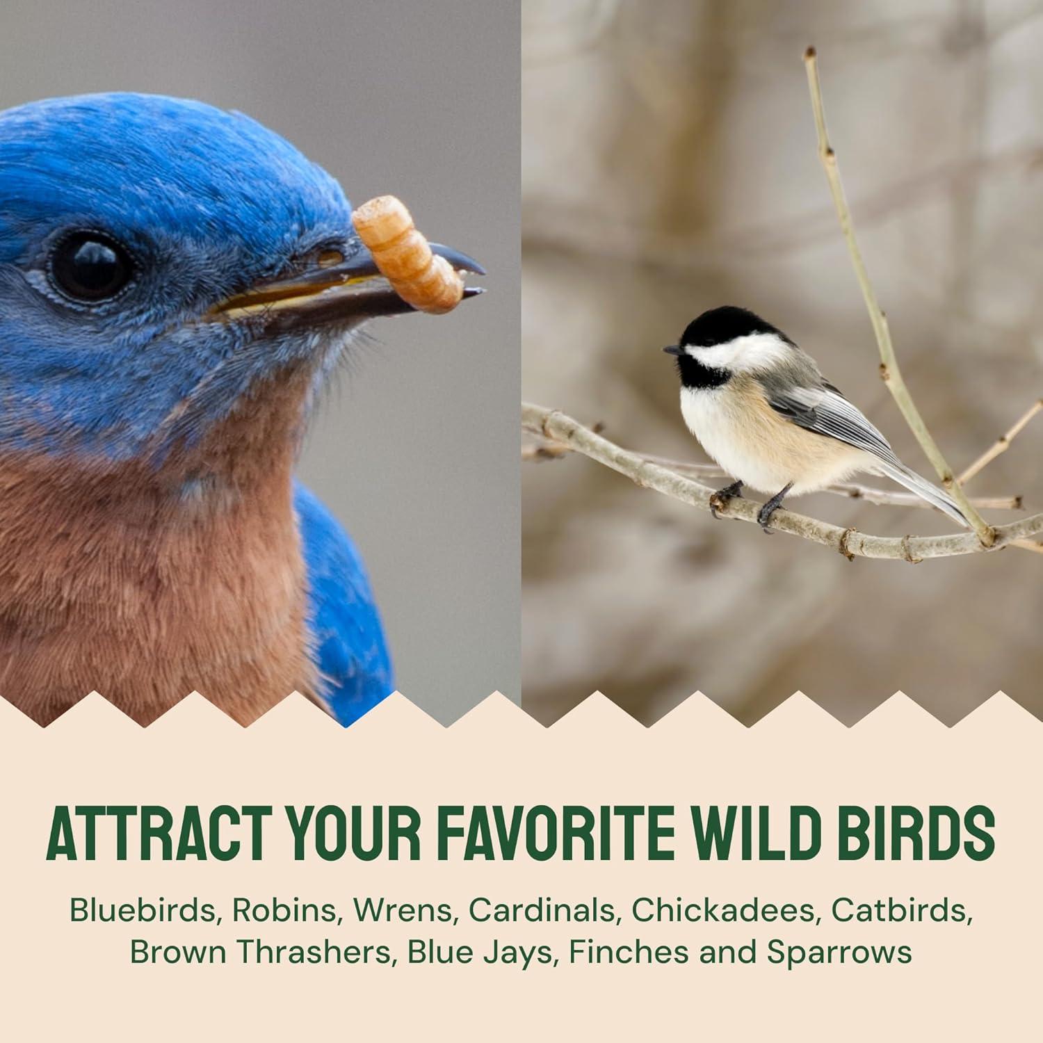 Gusanos de Harina Secos Hatortempt 0.91 kg - Alimento para Aves