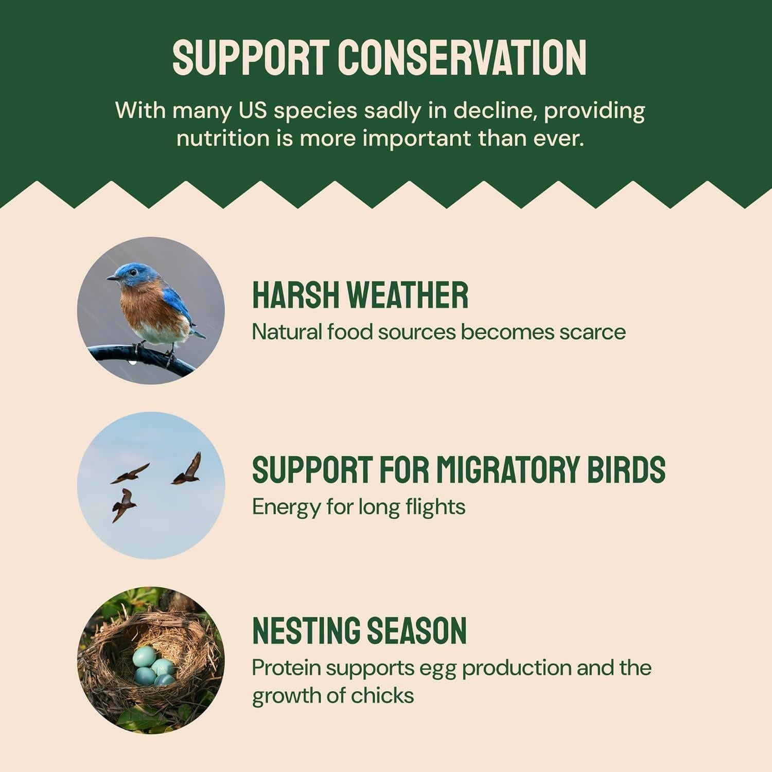 Gusanos de Harina Secos Hatortempt 0.91 kg - Alimento para Aves