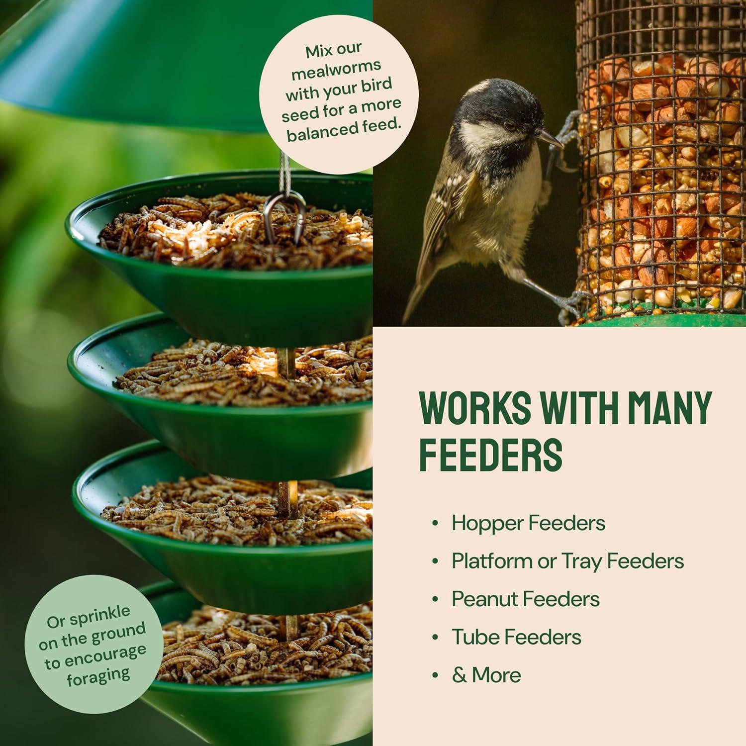 Gusanos de Harina Secos Hatortempt 0.91 kg - Alimento para Aves