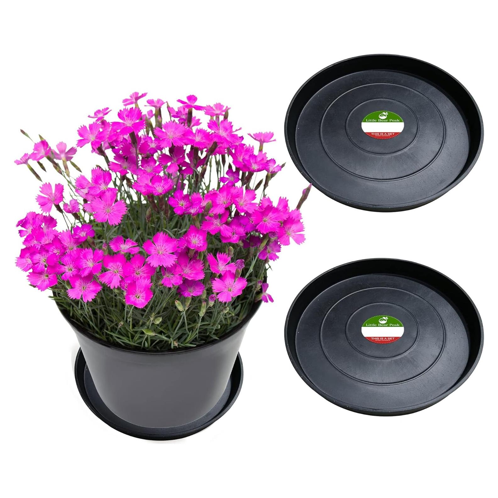 Charola Redonda Little Bear Peak - 2 Piezas 10.16 cm Negro